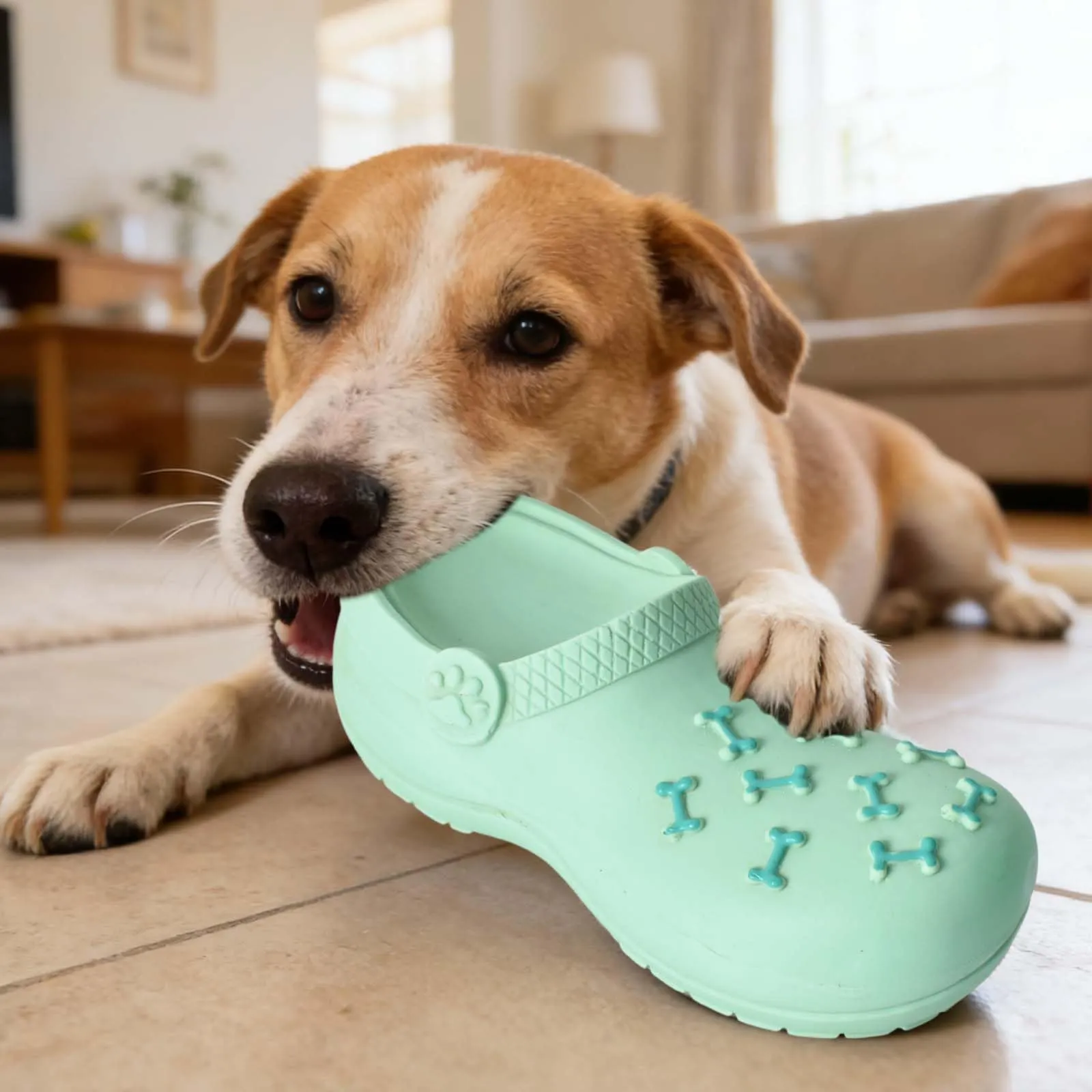 DEARBAG Giocattoli da Masticare per Cani a Forma di Pantofola, Gomma Naturale Resistente, Squeak Interattivi Gioco per Cane per Piccola, Media, Grande Taglia Masticatori Aggressivi (Verde) - immagine 7