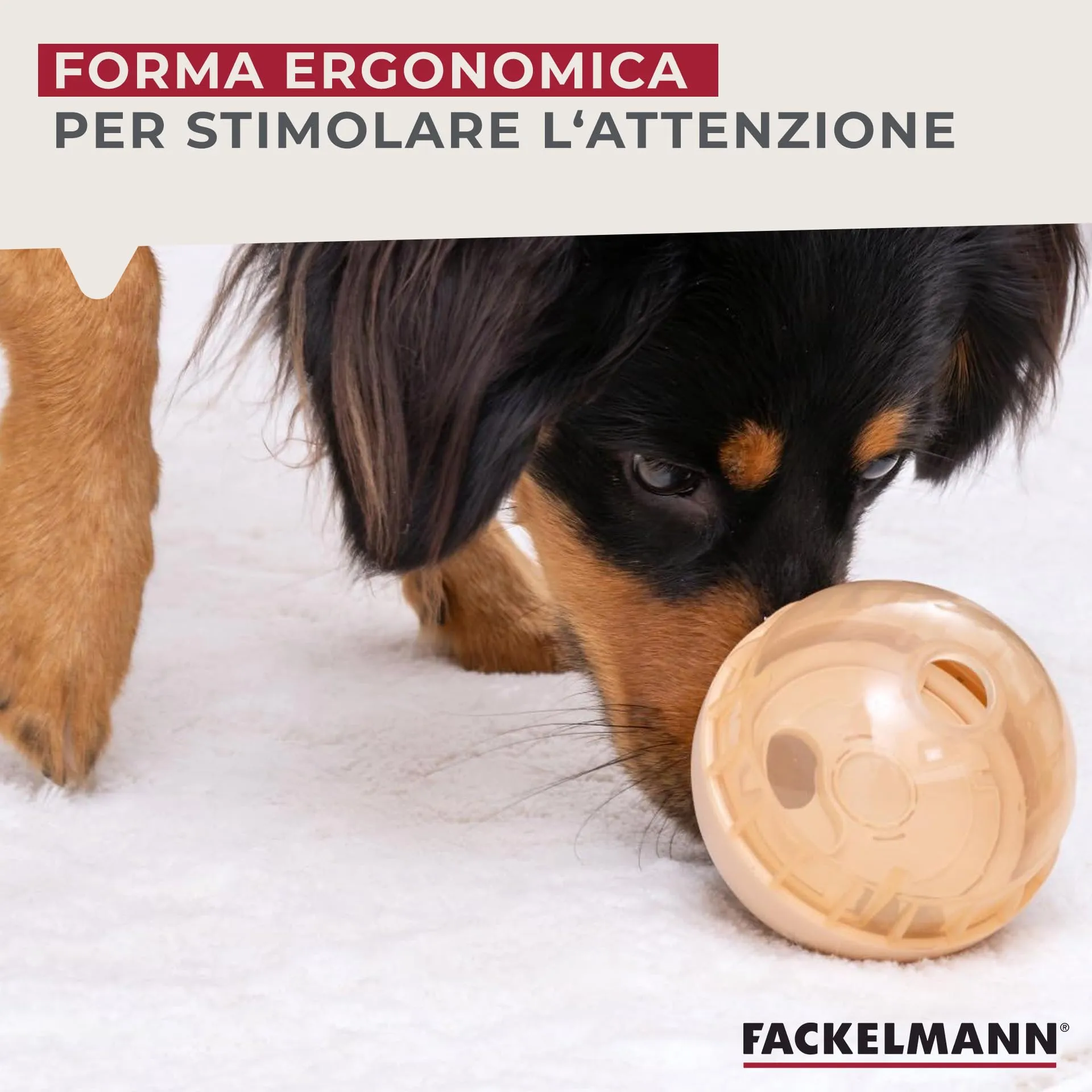 Fackelmann Snack-Ball per cani in PP riutilizzabile, gioco interattivo rilascia snack, stimola la mente e la destrezza, perfetta per animali di tutte le taglie, ideale per gioco attivo, addestramento - immagine 6