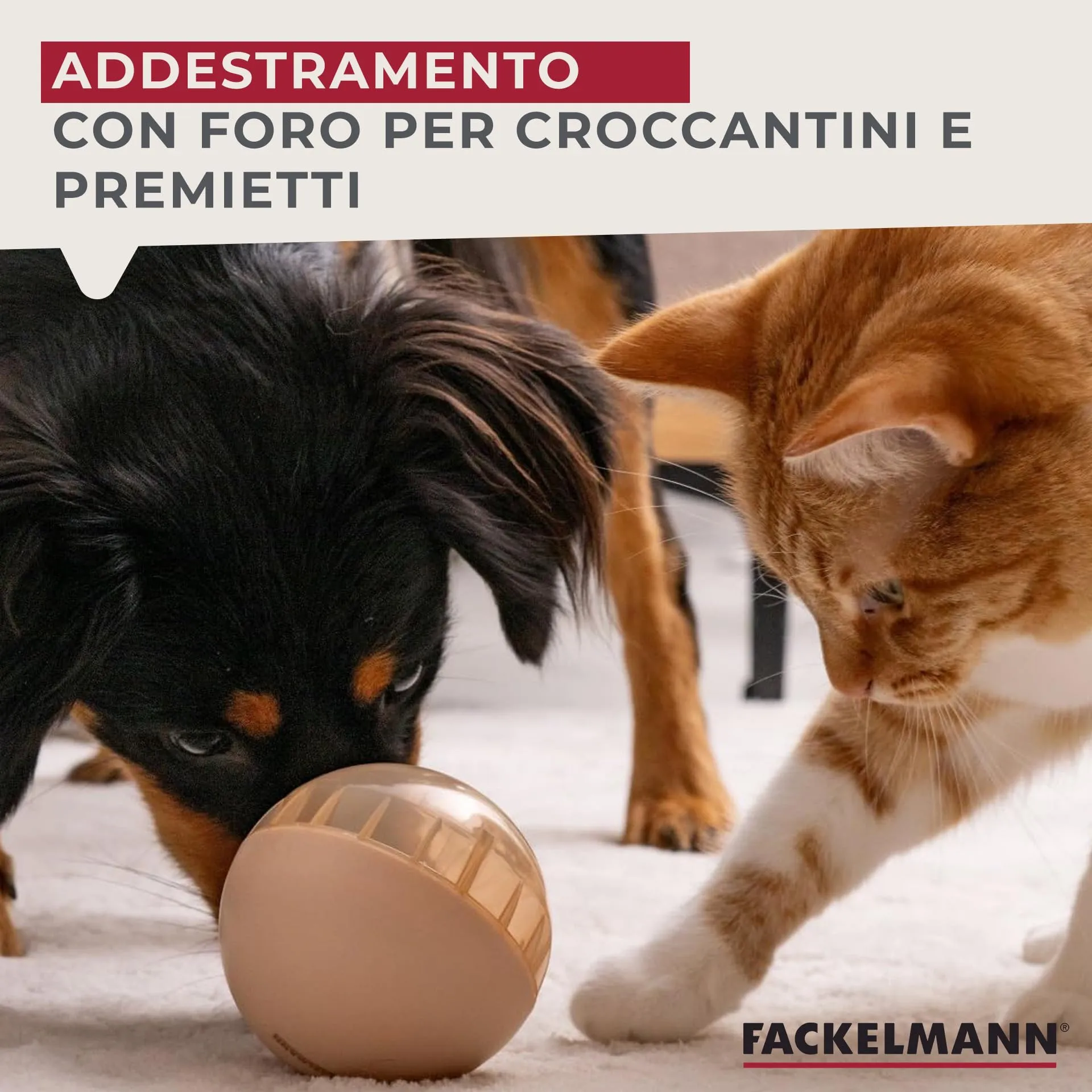 Fackelmann Snack-Ball per cani in PP riutilizzabile, gioco interattivo rilascia snack, stimola la mente e la destrezza, perfetta per animali di tutte le taglie, ideale per gioco attivo, addestramento - immagine 8