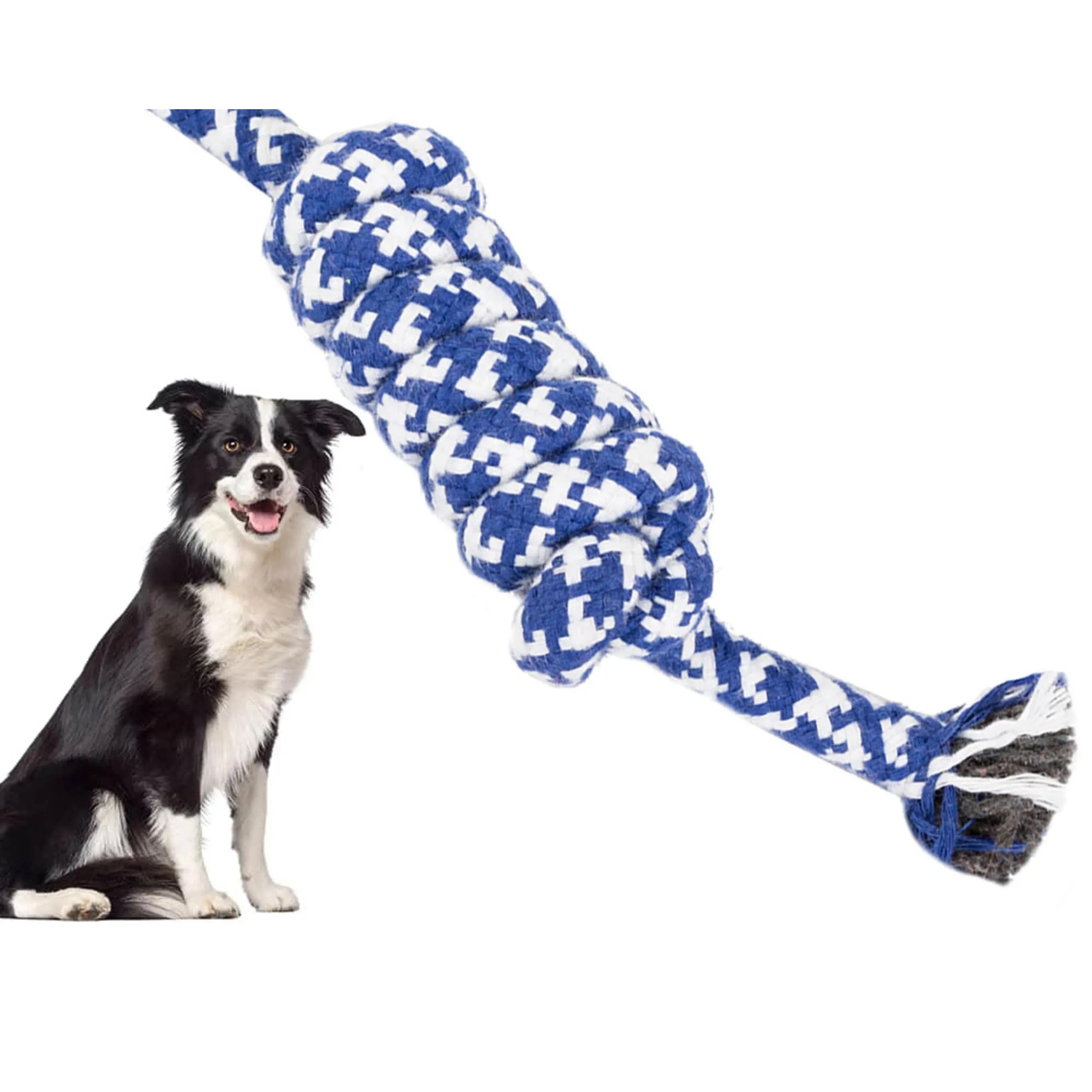 PARENCE – Giocattolo con corda intrecciata per cani – 40 cm – Ultra resistente a giochi di lancio, lancio e morso – Manico da 10 cm – Colori casuali (blu o rosso) - immagine 3