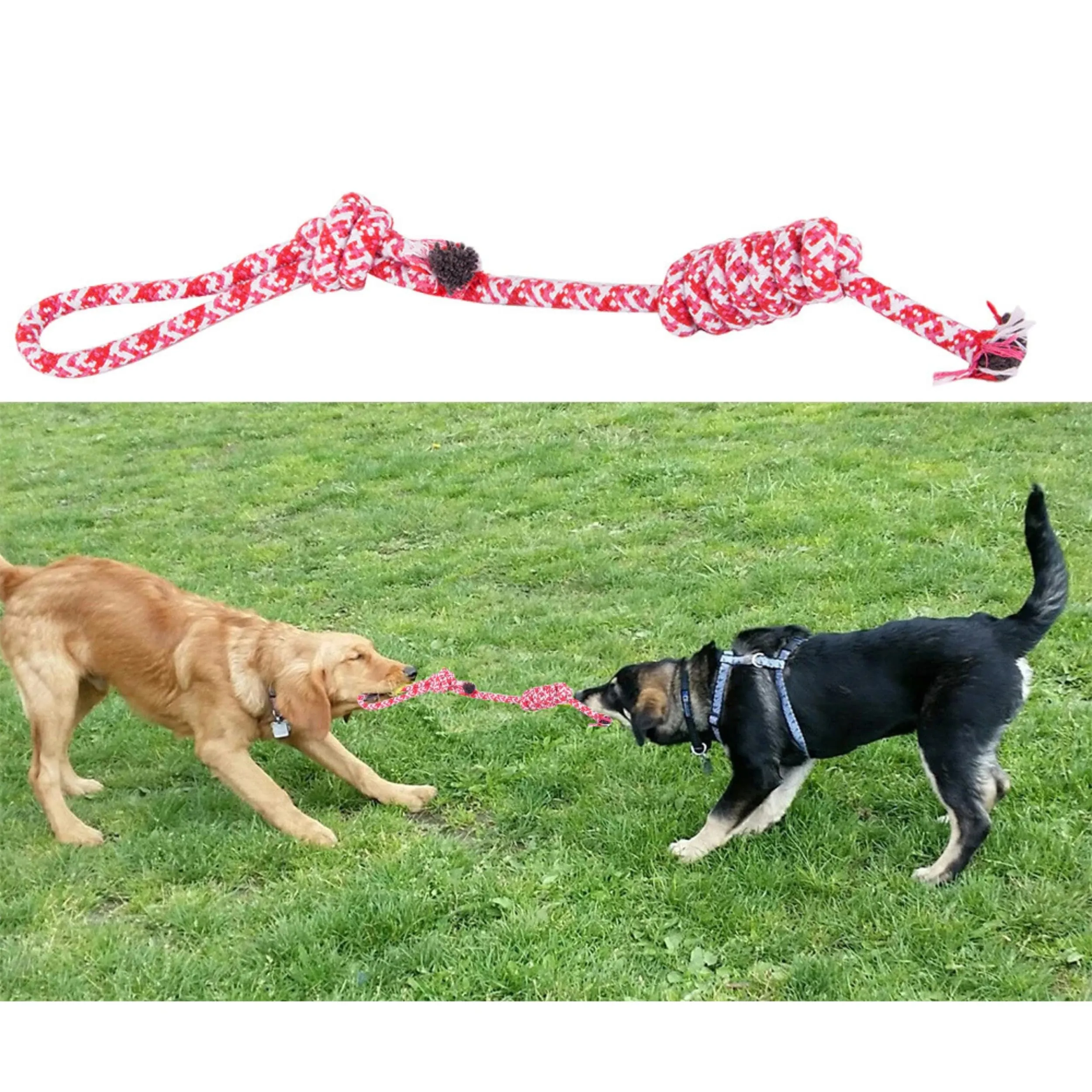 PARENCE – Giocattolo con corda intrecciata per cani – 40 cm – Ultra resistente a giochi di lancio, lancio e morso – Manico da 10 cm – Colori casuali (blu o rosso) - immagine 4