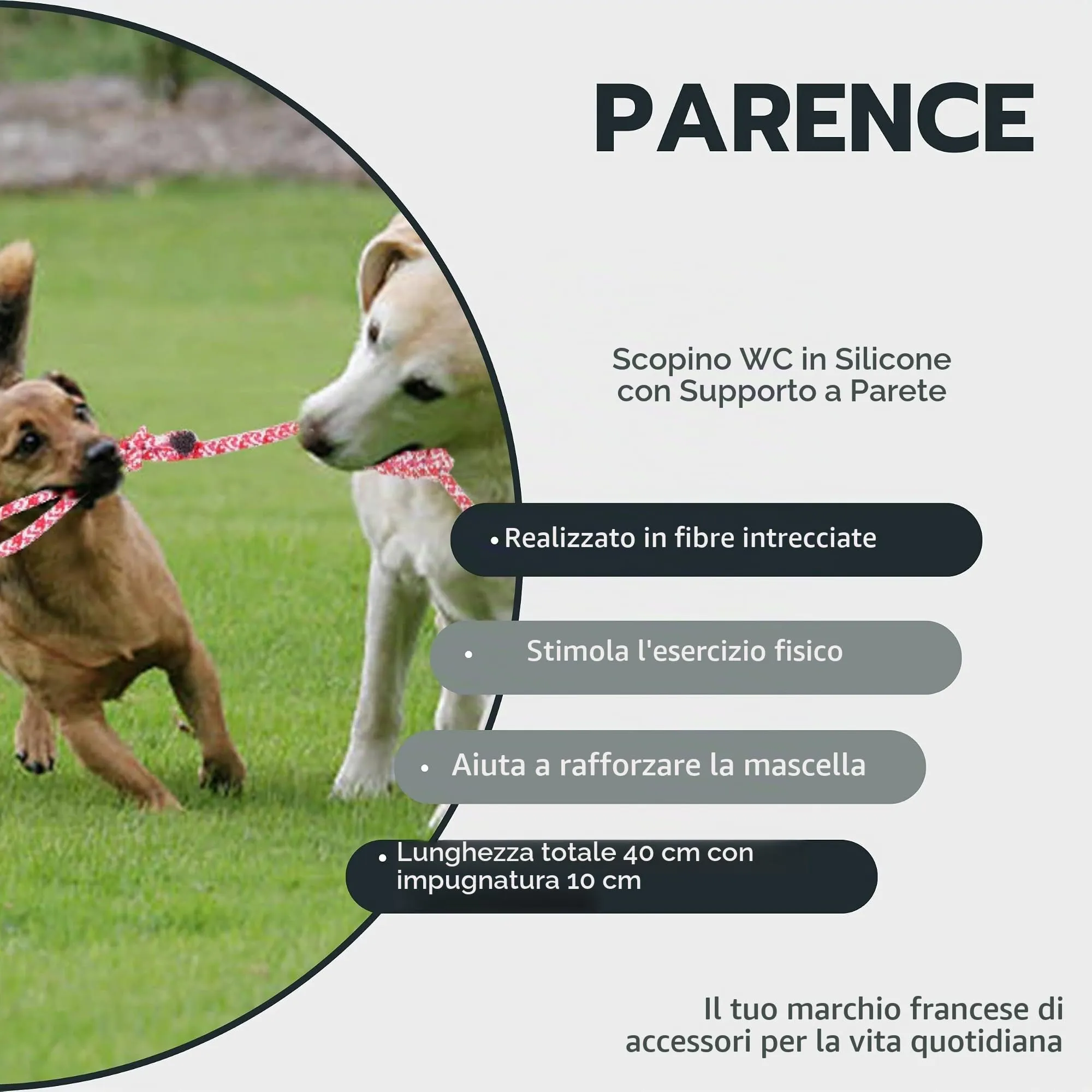 PARENCE – Giocattolo con corda intrecciata per cani – 40 cm – Ultra resistente a giochi di lancio, lancio e morso – Manico da 10 cm – Colori casuali (blu o rosso) - immagine 9