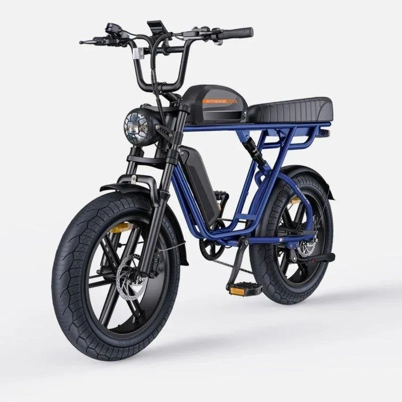 Bicicletta Elettrica Engwe M1 Eu - Motore 250W Batteria 48V28.6ah Pneumatici 20" Freni a Disco Idraulici Blu - immagine 1