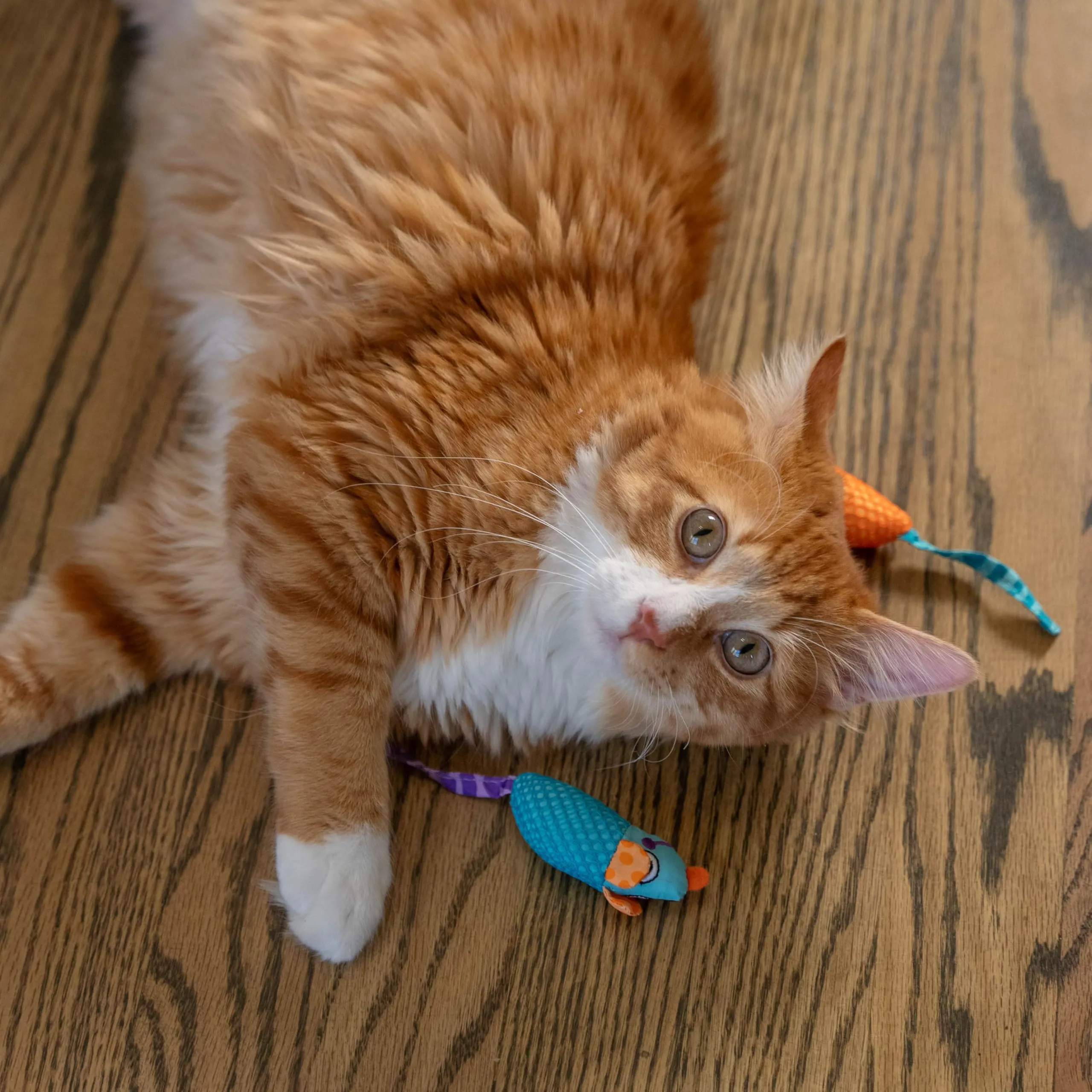 Petstages Catnip Chew Mice - gioco per gatti di tutte le taglie da masticare - con erba gatta - salute dentale - confezione da 2 - immagine 2