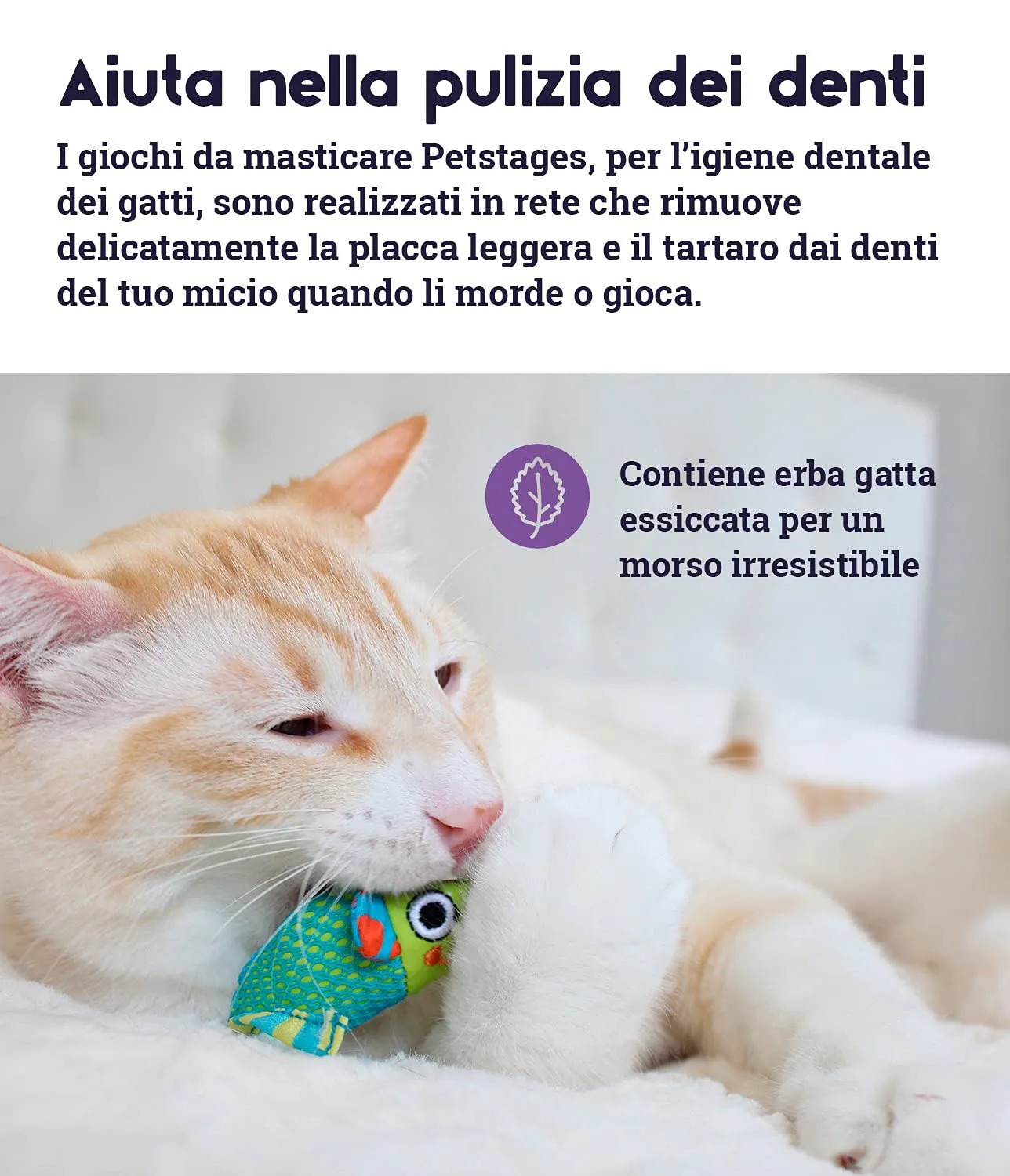 Petstages Catnip Chew Mice - gioco per gatti di tutte le taglie da masticare - con erba gatta - salute dentale - confezione da 2 - immagine 3