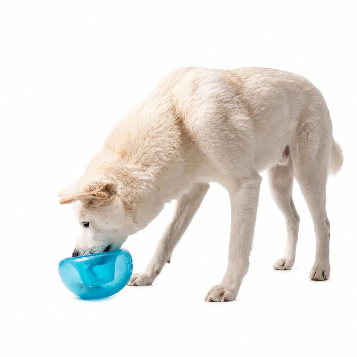 Planet Dog Orbee-Tuff Snoop - Gioco interattivo per cani - erogatore di ricompensa - blu - grande - immagine 1