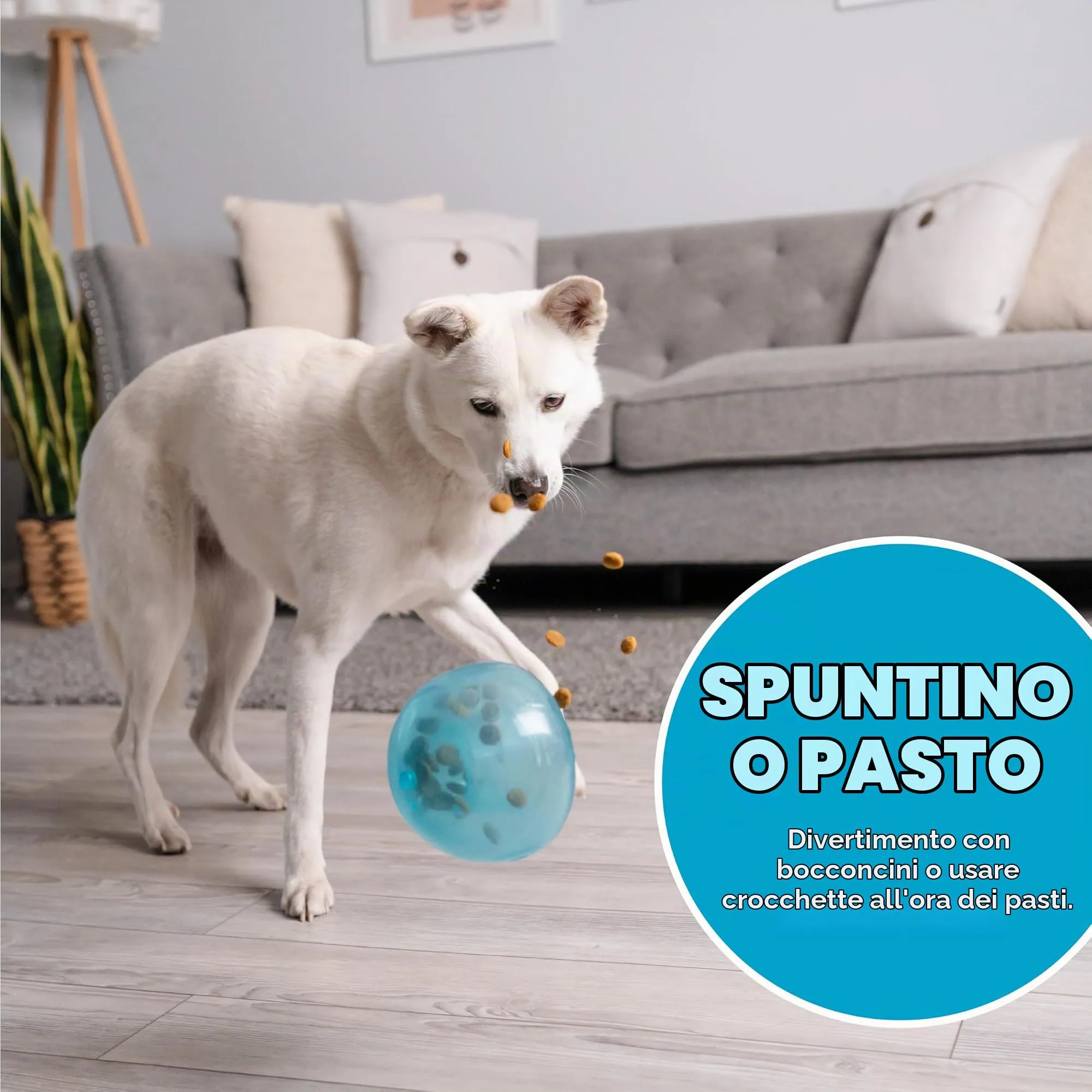 Planet Dog Orbee-Tuff Snoop - Gioco interattivo per cani - erogatore di ricompensa - blu - grande - immagine 5