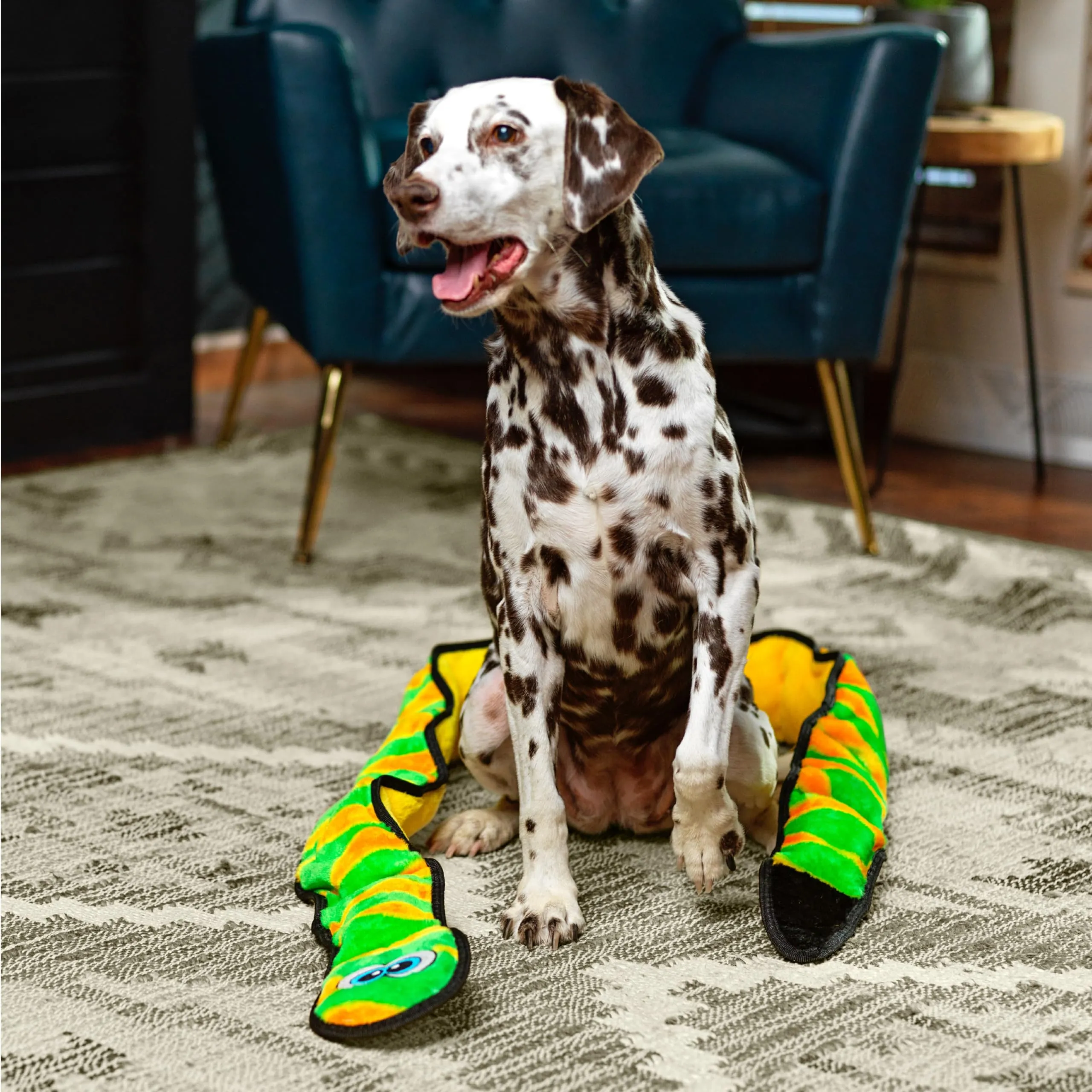 Outward Hound Invincibles - gioco felpato a forma di serpente - per cani - verde - XXL - immagine 5