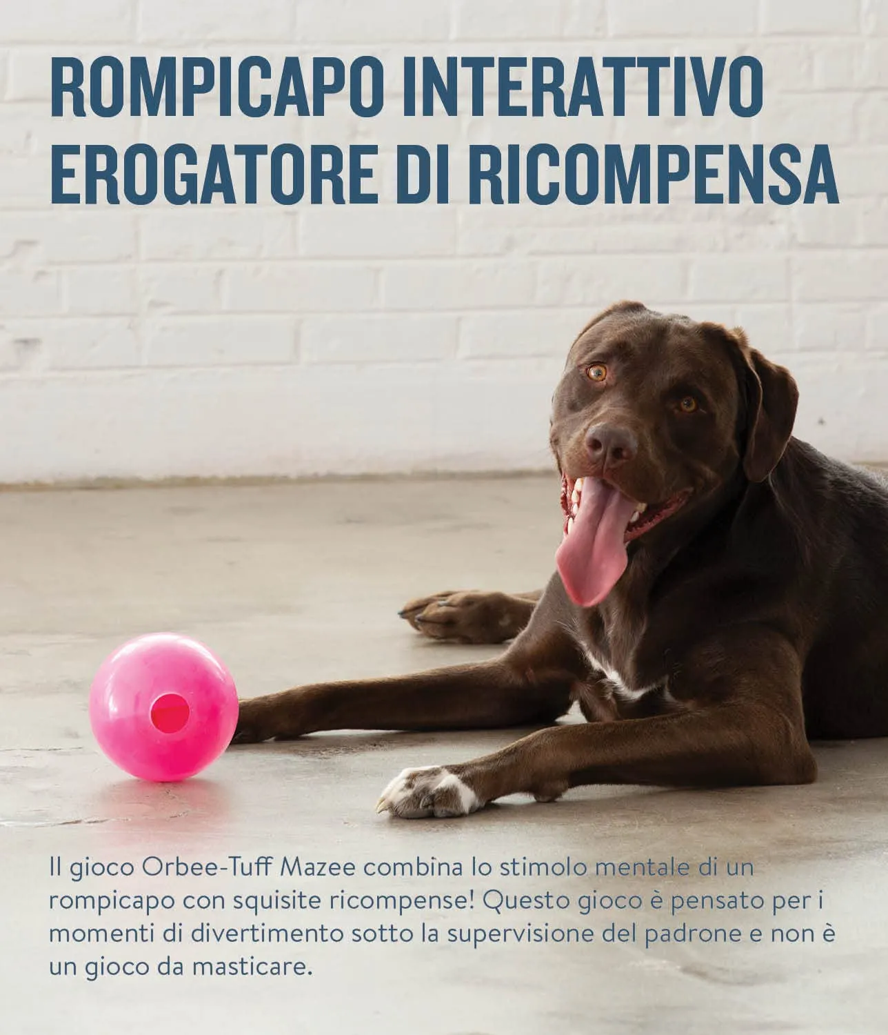 Planet Dog Orbee-Tuff Mazee - Gioco rompicapo interattivo per cani - erogatore di ricompensa - rosa - immagine 3