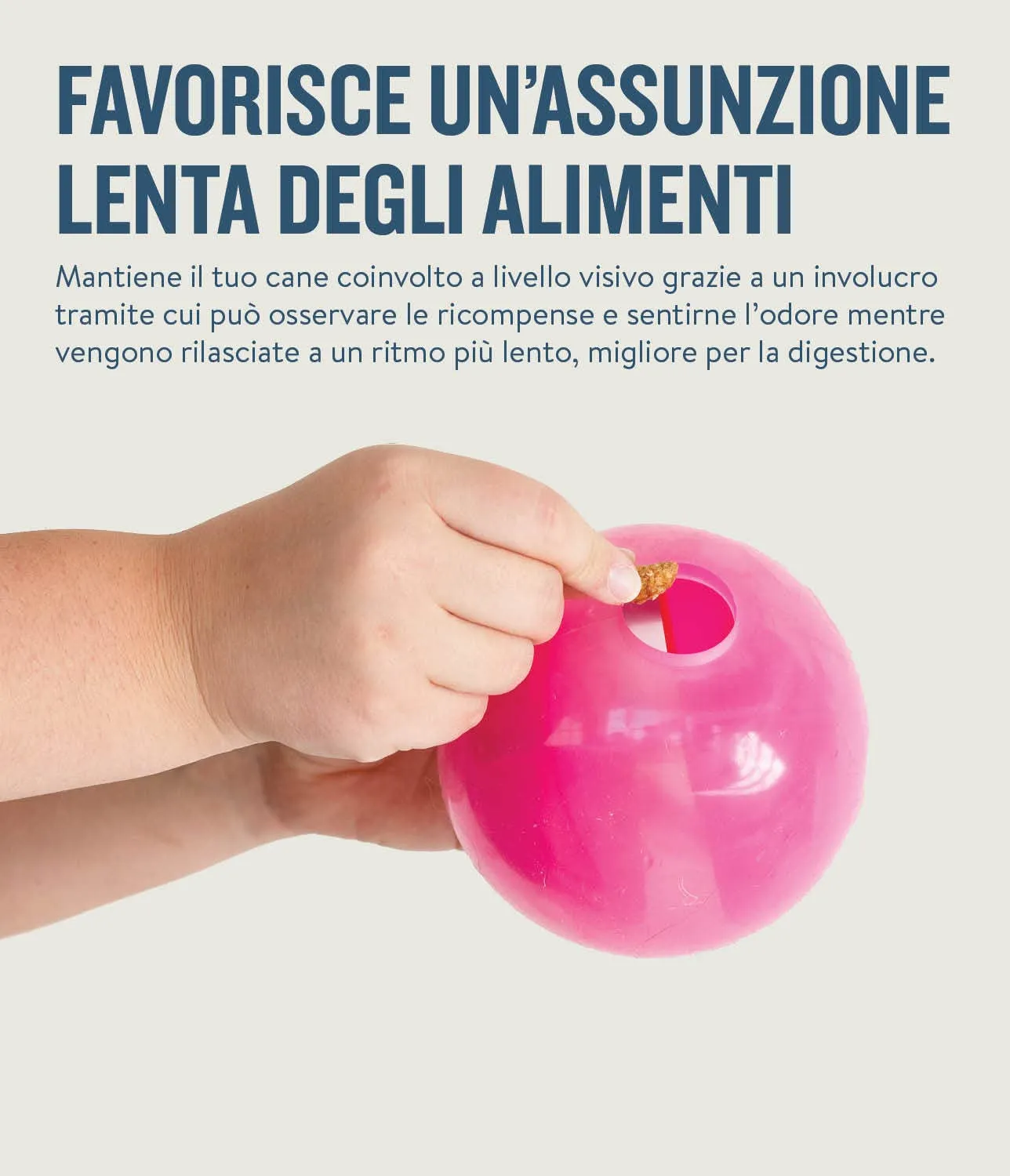 Planet Dog Orbee-Tuff Mazee - Gioco rompicapo interattivo per cani - erogatore di ricompensa - rosa - immagine 5