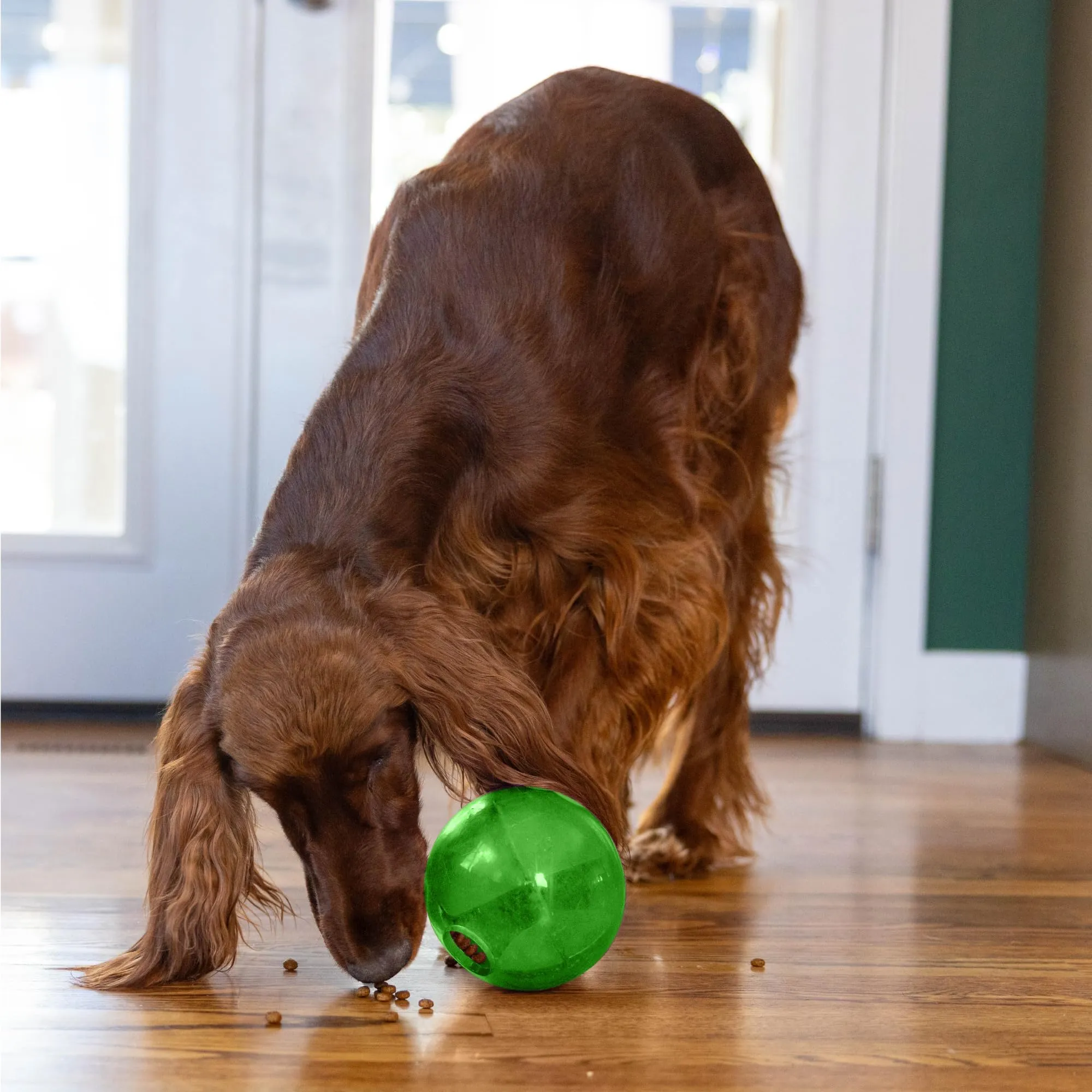 Planet Dog Orbee-Tuff Mazee - Gioco rompicapo interattivo per cani - erogatore di ricompensa - verde - immagine 2