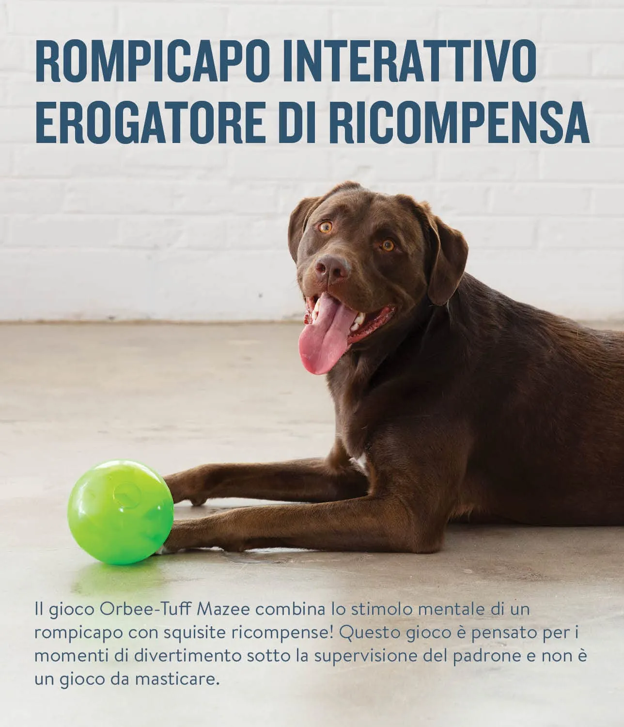 Planet Dog Orbee-Tuff Mazee - Gioco rompicapo interattivo per cani - erogatore di ricompensa - verde - immagine 4