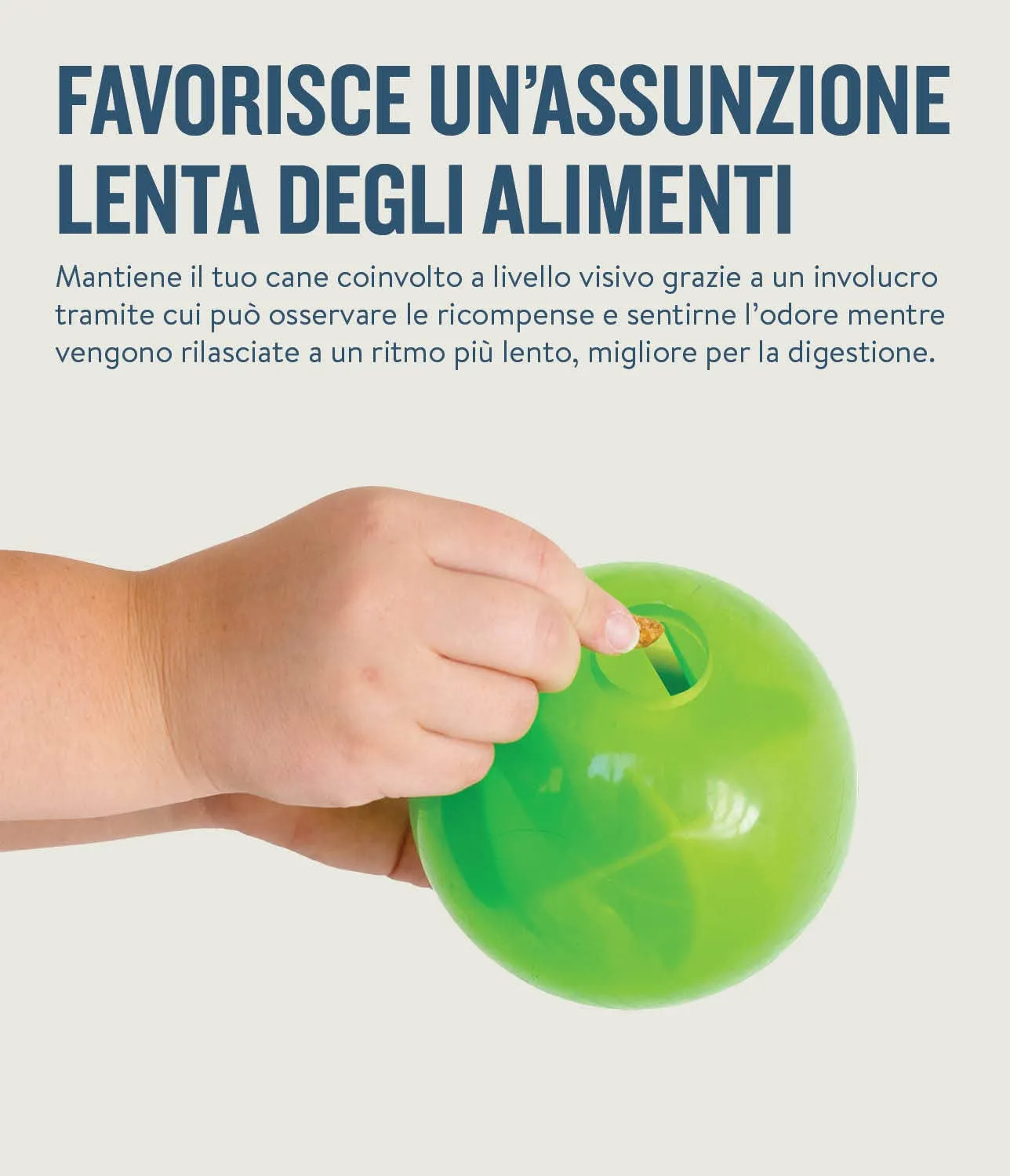 Planet Dog Orbee-Tuff Mazee - Gioco rompicapo interattivo per cani - erogatore di ricompensa - verde - immagine 6