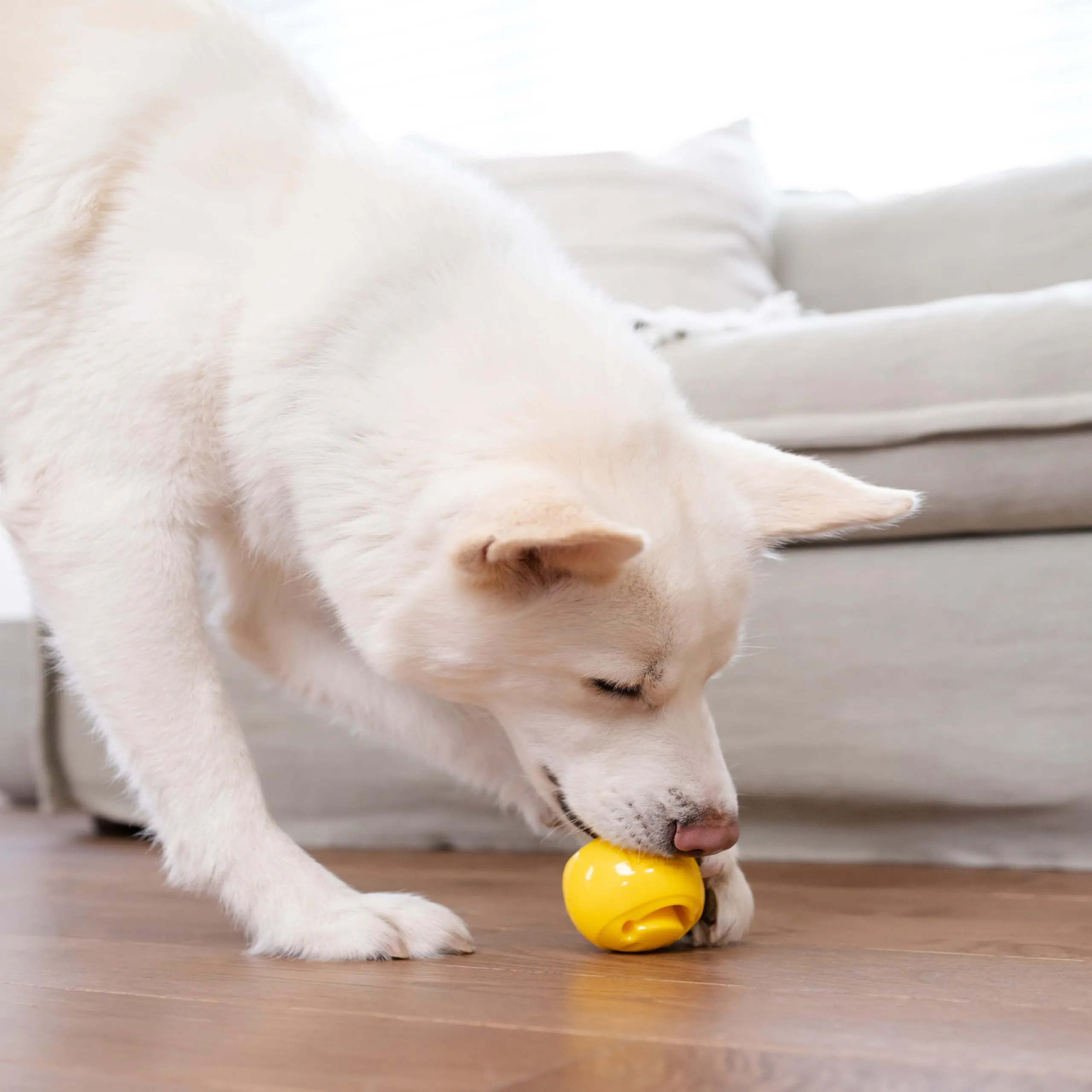 Planet Dog Orbee-Tuff Nooks - Gioco per cani - erogatore di ricompensa - smile - giallo - immagine 2