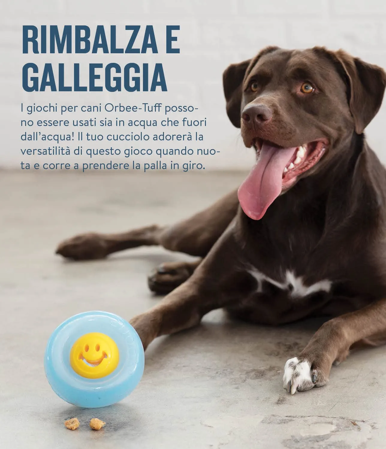 Planet Dog Orbee-Tuff Nooks - Gioco per cani - erogatore di ricompensa - smile - giallo - immagine 6