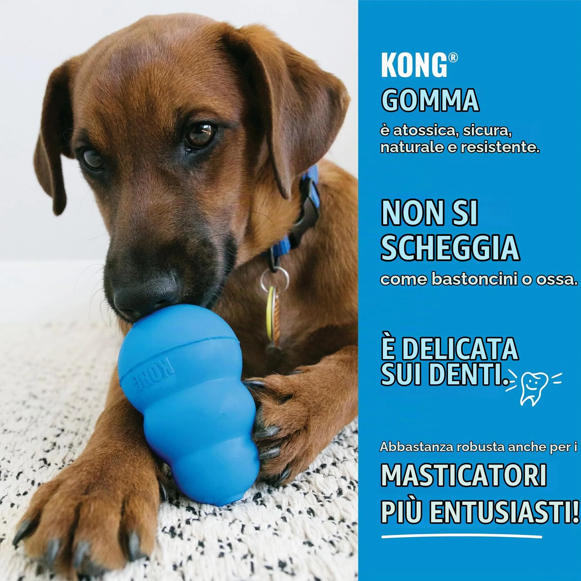 KONG Puppy Ball con Foro per Cuccioli, Taglia Media/Grande - immagine 4