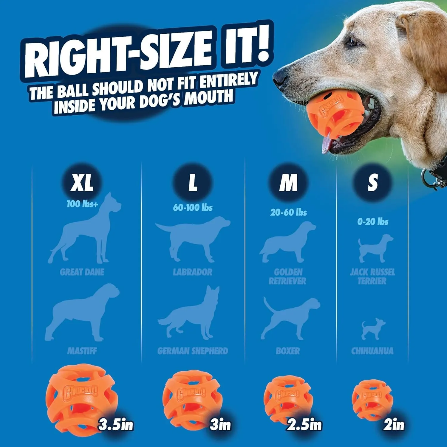 Chuckit Palla Breathe Right Fetch Ball Medium, Palla da Perseguire per Il Cane, M - immagine 4