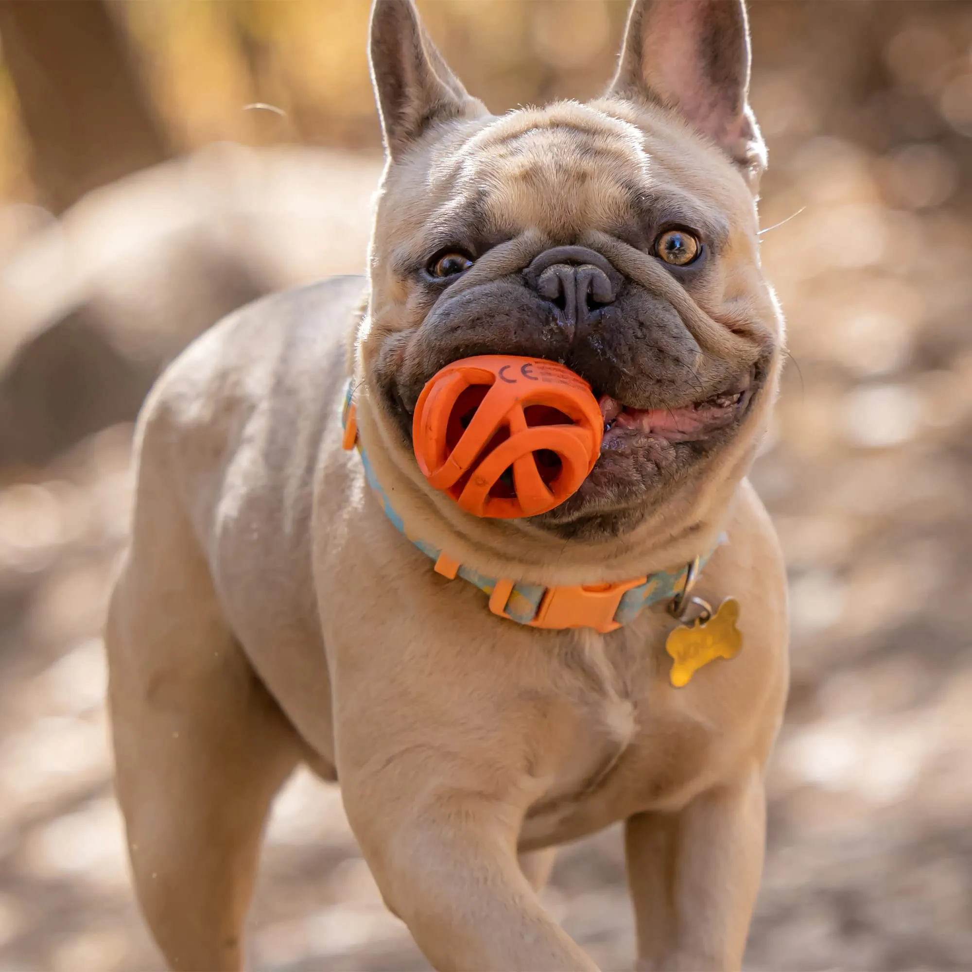 Chuckit Palla Breathe Right Fetch Ball Medium, Palla da Perseguire per Il Cane, M - immagine 5
