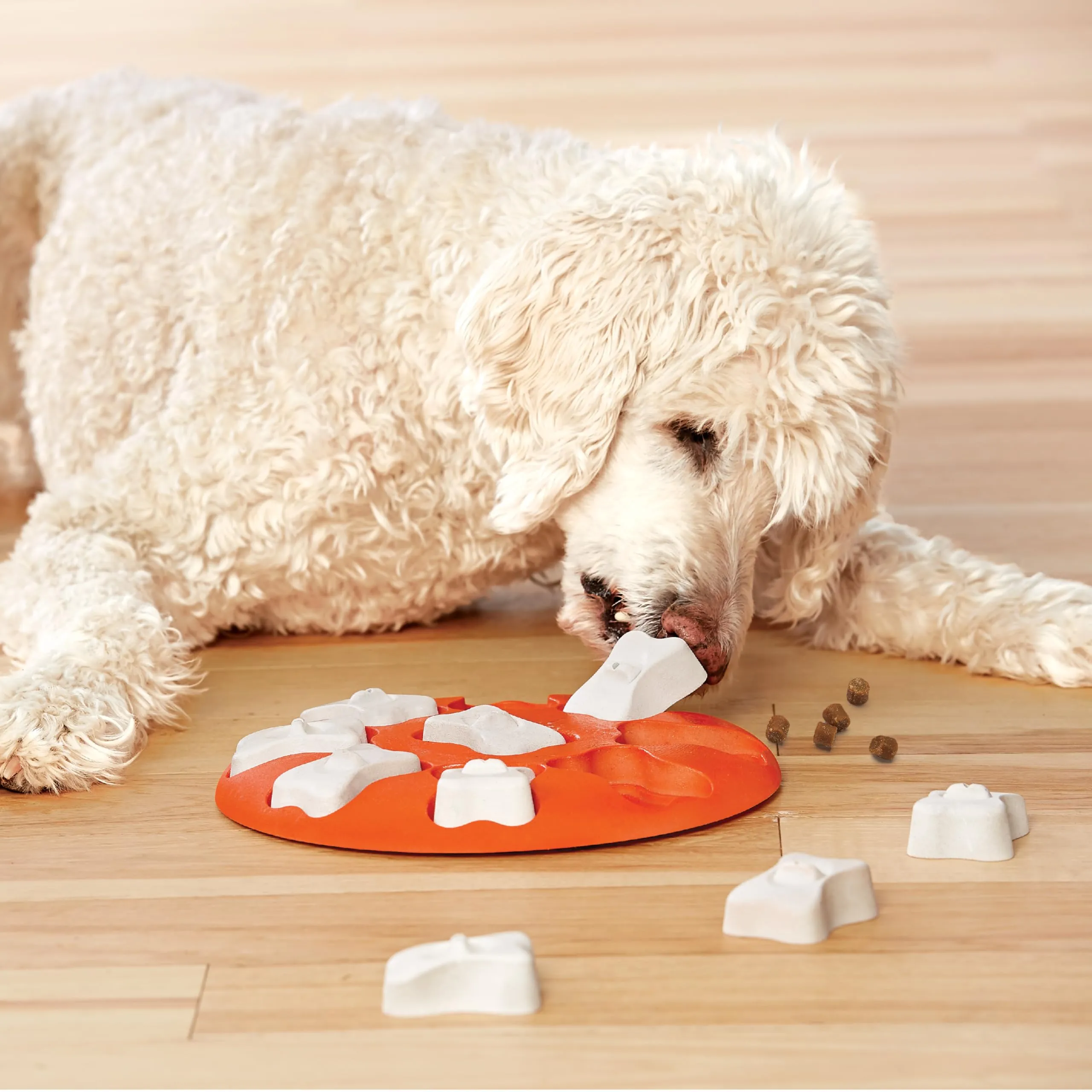 Nina Ottosson di Outward Hound Dog Smart - gioco rompicapo interattivo per cani - erogatore di ricompense - arancione - immagine 8