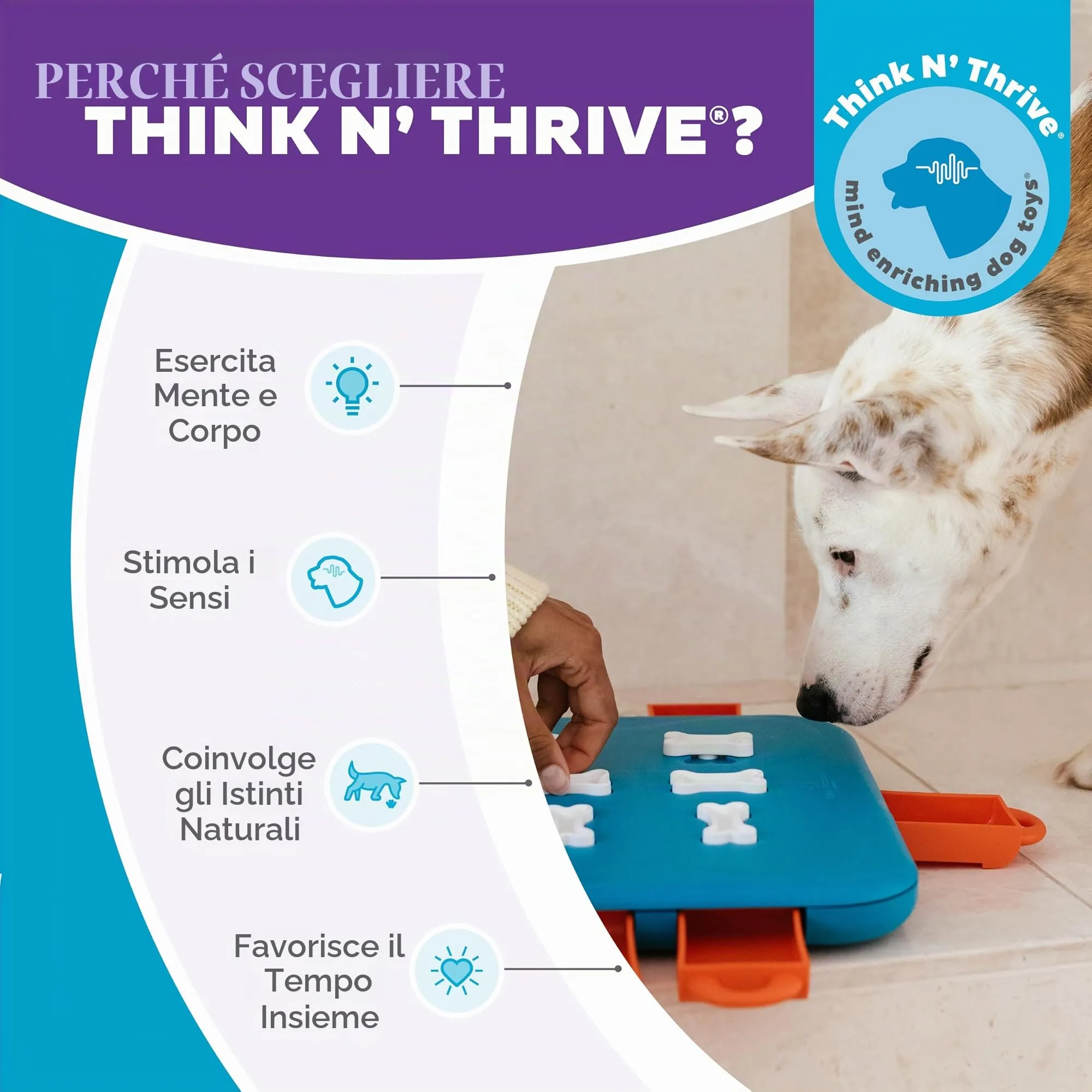 Nina Ottosson di Outward Hound Dog Casino - Gioco Rompicapo Interattivo per Cani - Erogatore di Ricompense - Livello Avanzato - immagine 7