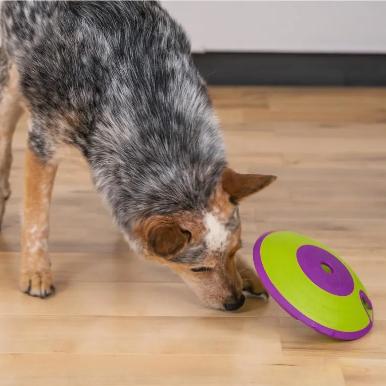 Nina Ottosson di Outward Hound Treat Maze - Gioco Rompicapo Interattivo per Cani - Erogatore di Ricompense - Livello Intermedio - immagine 2