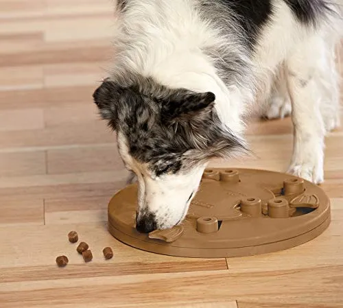 Nina Ottosson di Outward Hound Dog Worker - gioco rompicapo interattivo per cani - erogatore di ricompense - marrone chiaro - immagine 2