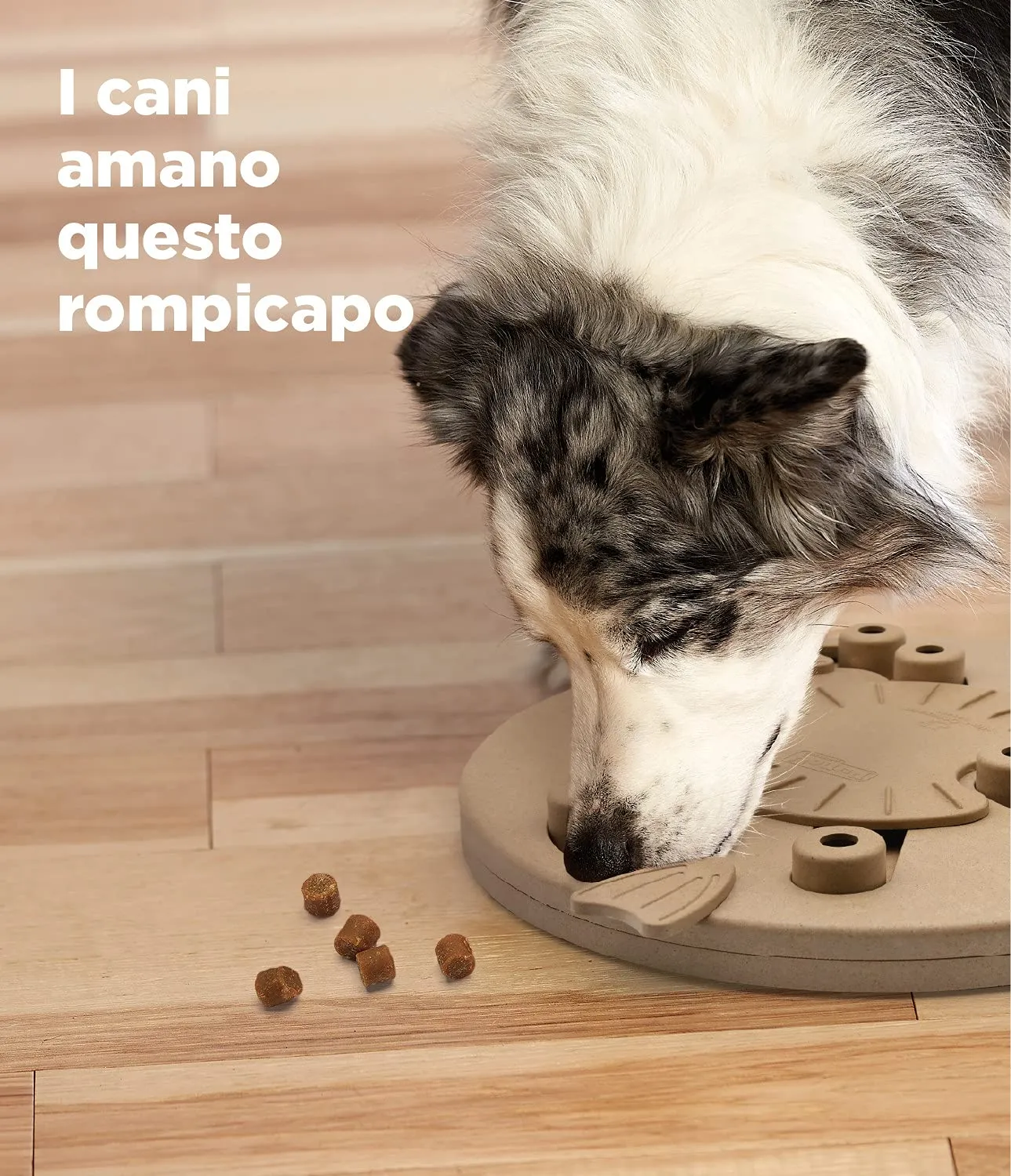 Nina Ottosson di Outward Hound Dog Worker - gioco rompicapo interattivo per cani - erogatore di ricompense - marrone chiaro - immagine 6