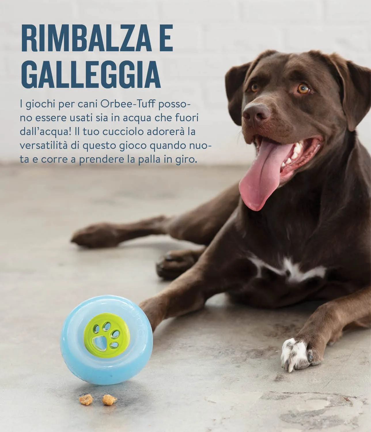 Planet Dog Orbee-Tuff Nooks - Gioco per cani - erogatore di ricompensa - impronta - verde - immagine 5