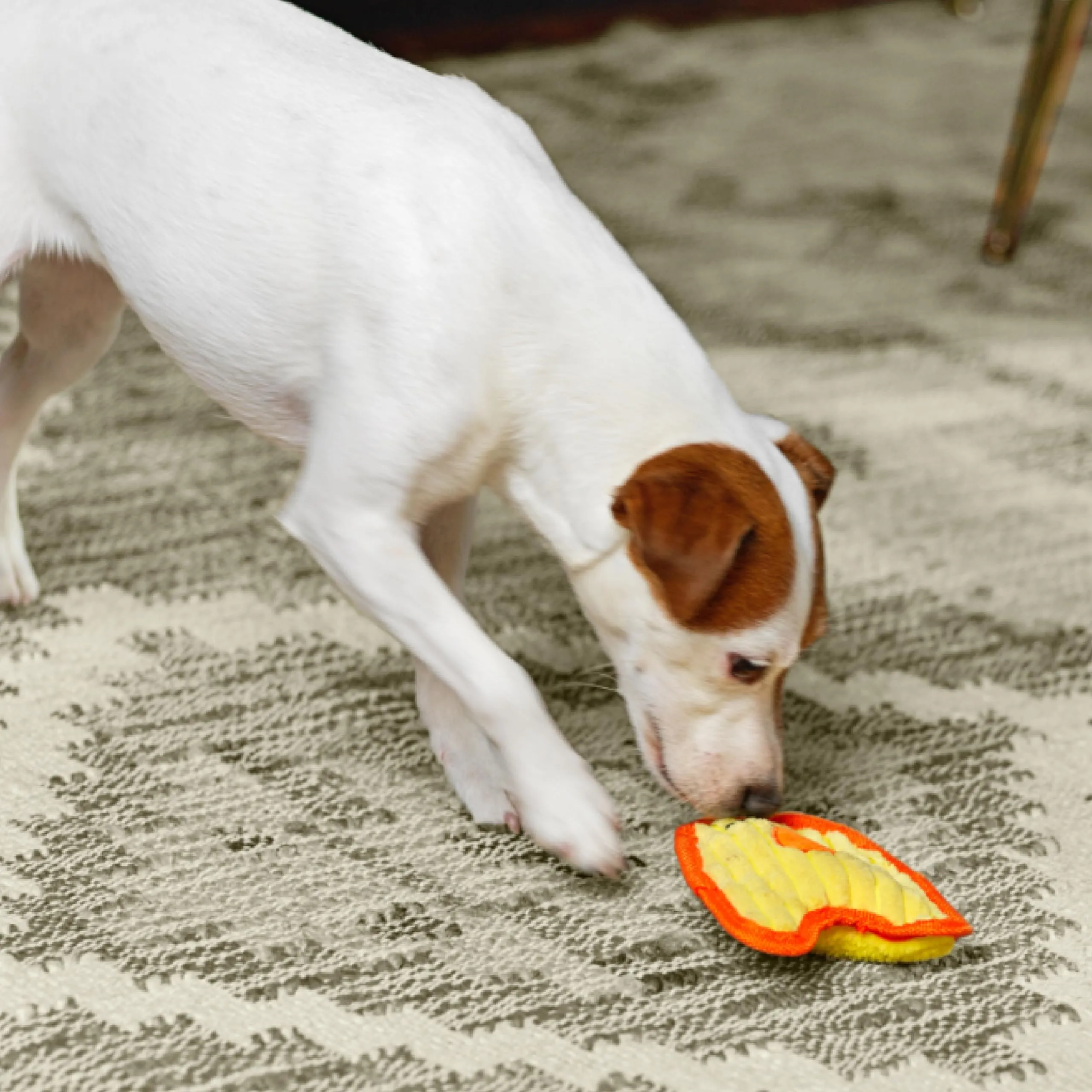 Outward Hound Invincibles Mini - gioco per cani a forma di pulcino - con sonaglio - giallo - XS - immagine 2