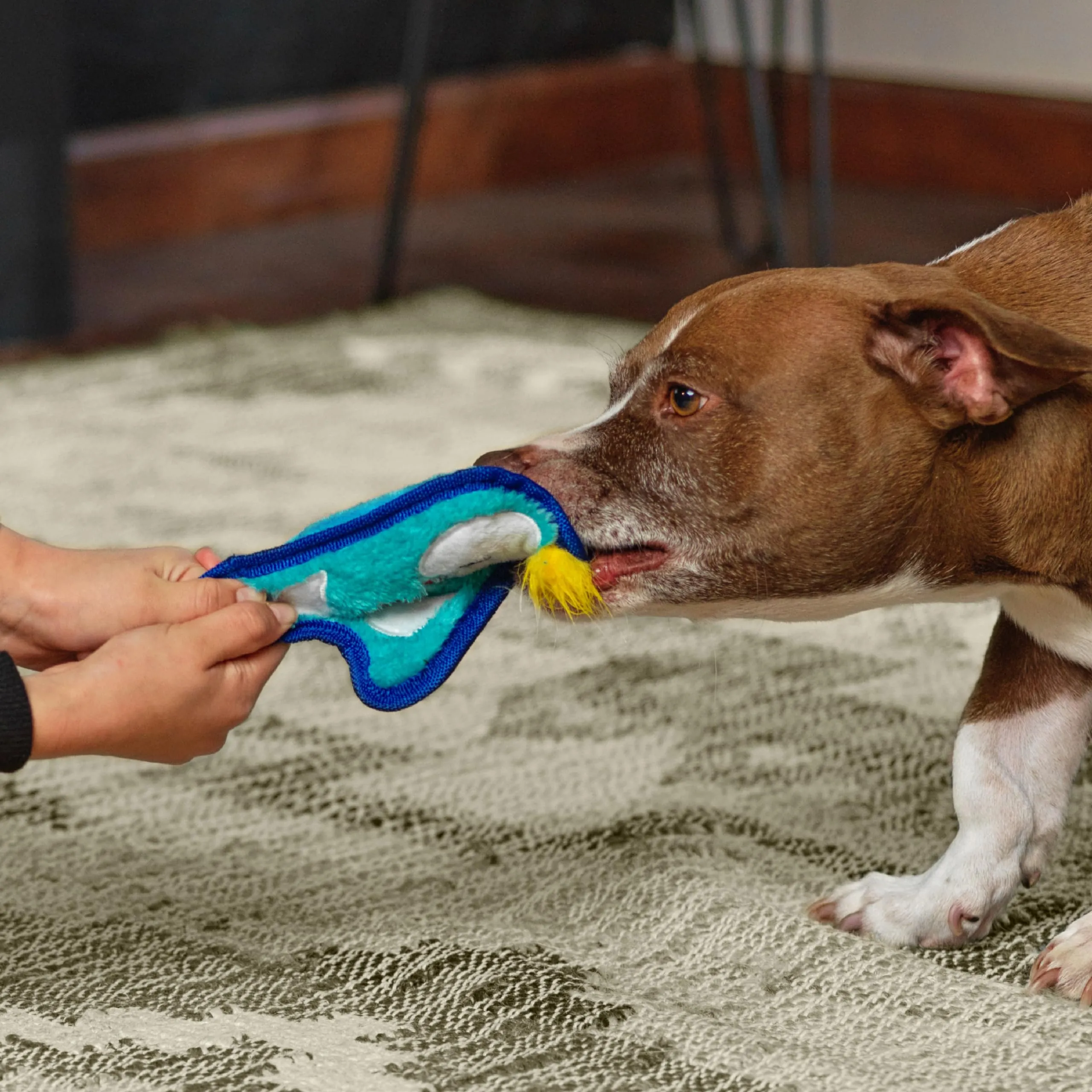 Outward Hound Invincibles Mini - gioco felpato a forma di pinguino - per cani - azzurro - XS - immagine 2