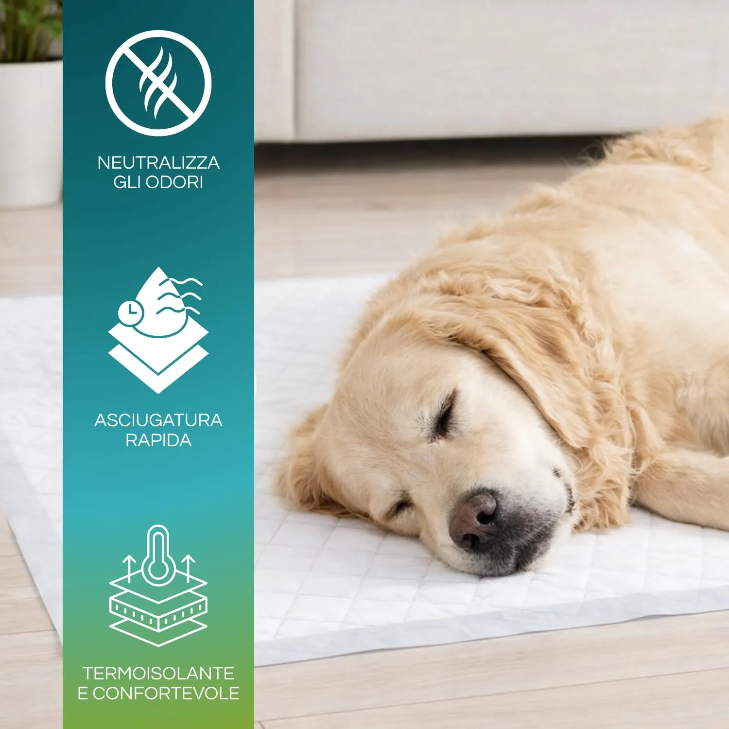 Palucart® tappetini igienici per cane 60x90 100 pezzi traversine cani animali domestici con adesivo anche per gatti anti odore - F - immagine 3