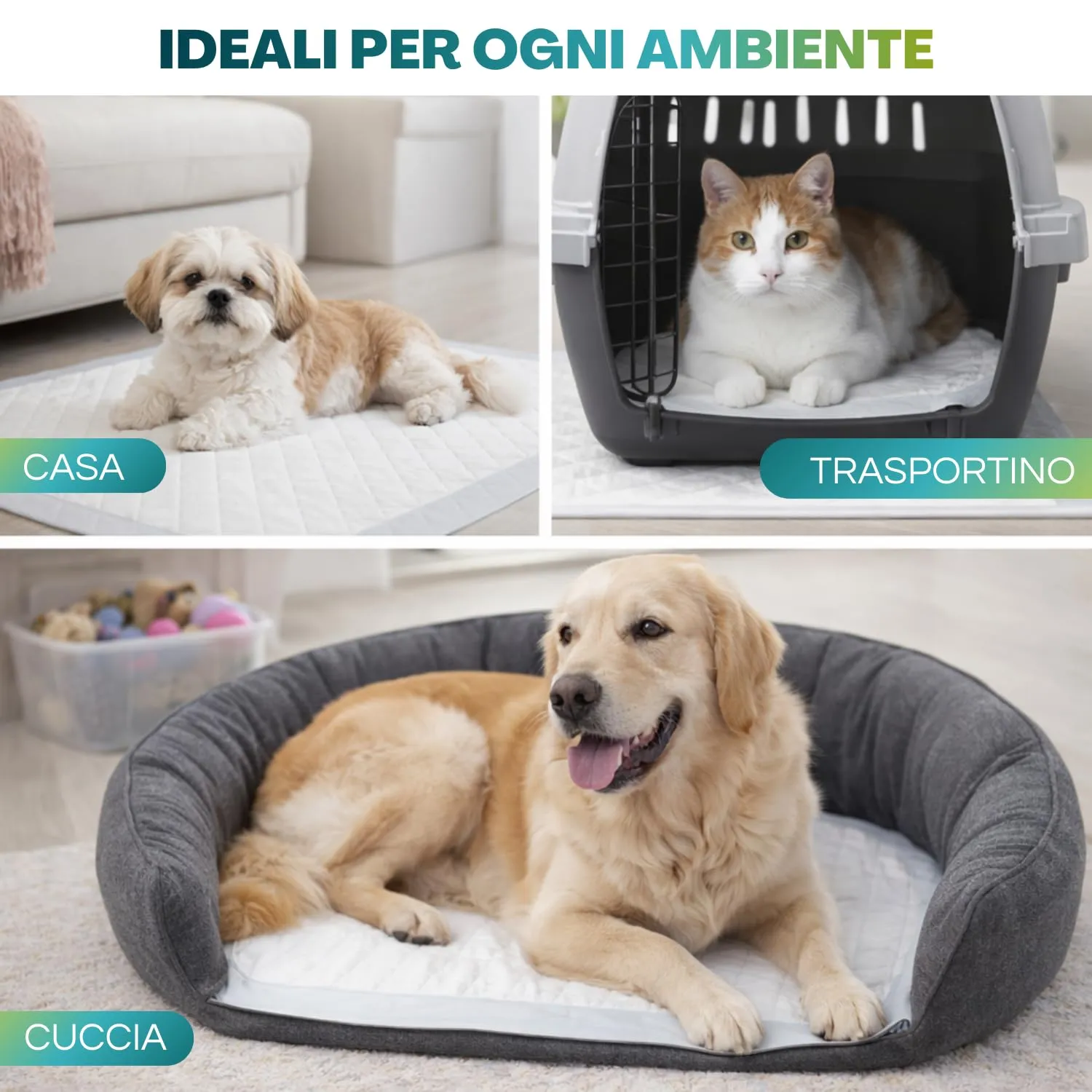 Palucart® tappetini igienici per cane 60x90 100 pezzi traversine cani animali domestici con adesivo anche per gatti anti odore - F - immagine 8