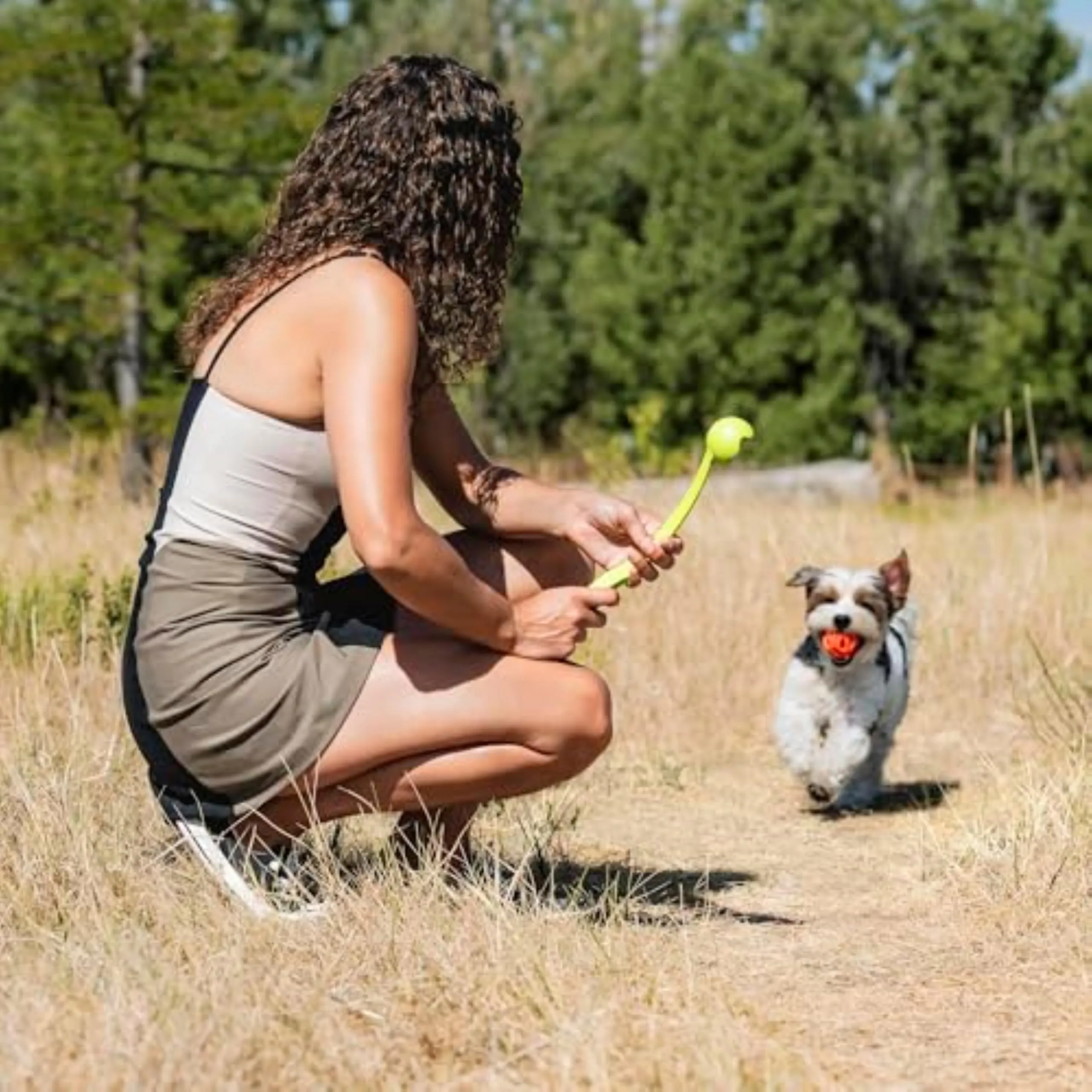 Chuckit Palla Breathe Right Fetch Ball Medium, 2 Palle da Seguire per il Cane, M - immagine 2