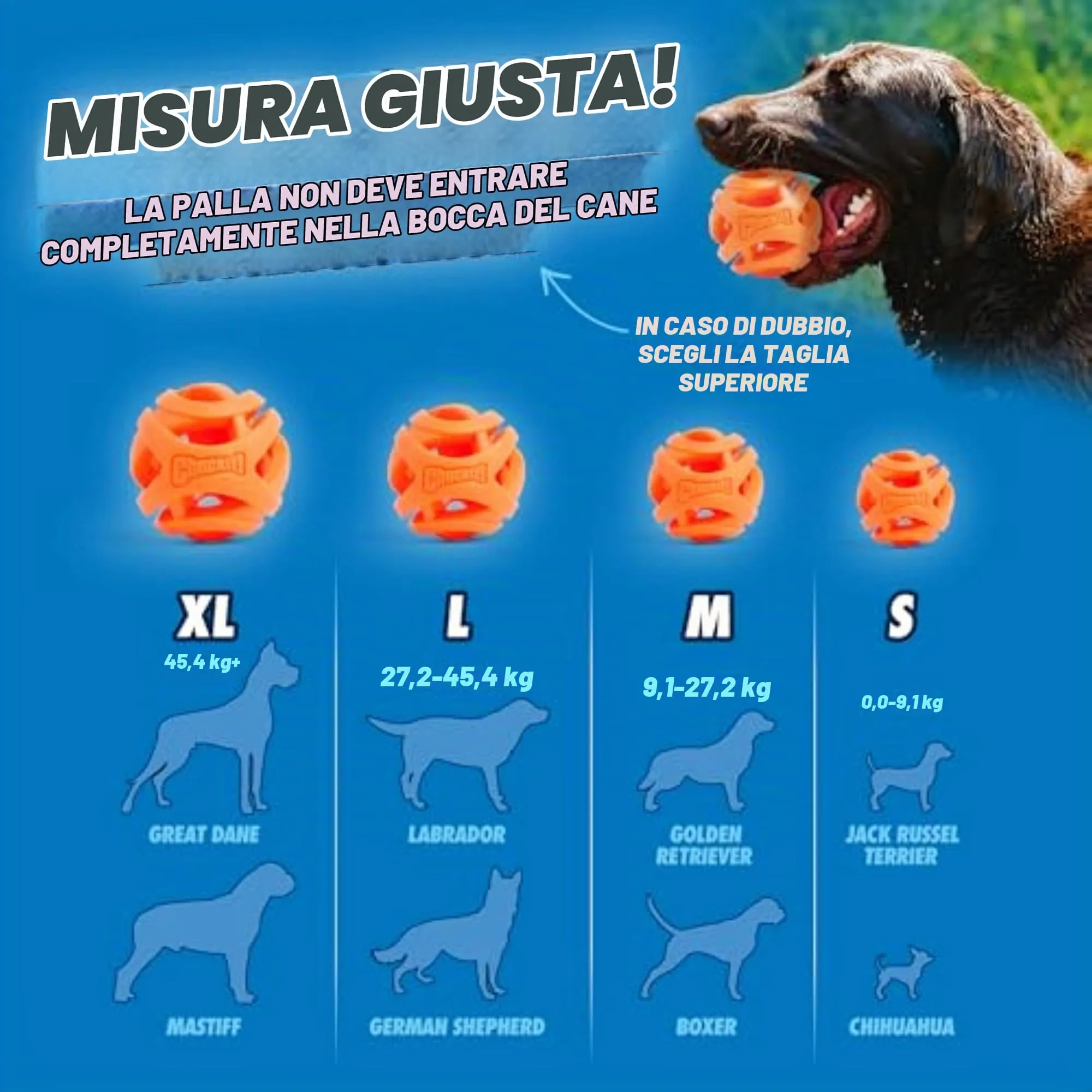 Chuckit Palla Breathe Right Fetch Ball Medium, 2 Palle da Seguire per il Cane, M - immagine 5