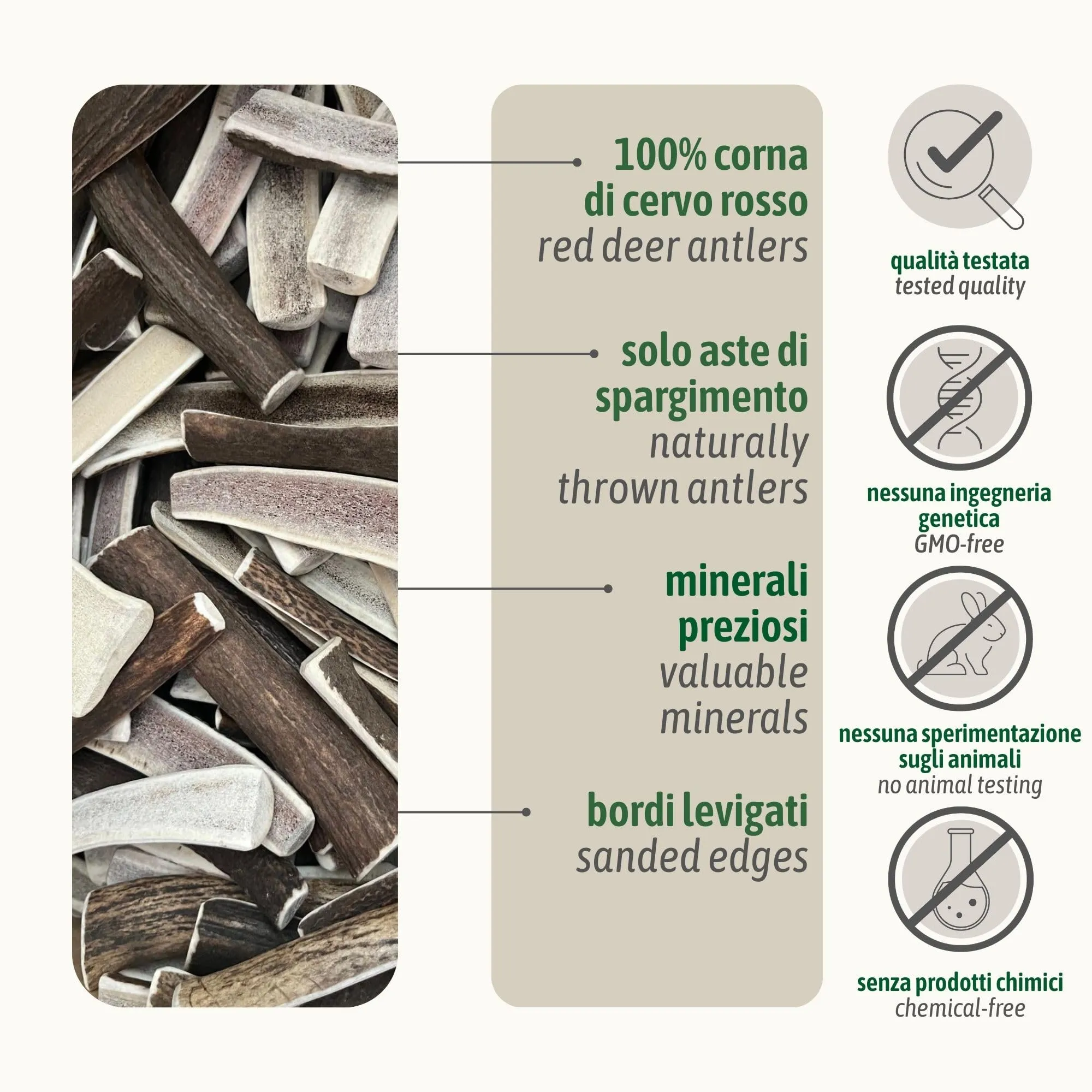 ChronoBalance-S Corno di Cervo per Cani, Confezione da 1, Dimezzato, 100% Naturale, Osso di Cervo, Cura Dentale, Giocattolo per Cani, Senza Sostanze Chimiche, Lunga Durata - immagine 4