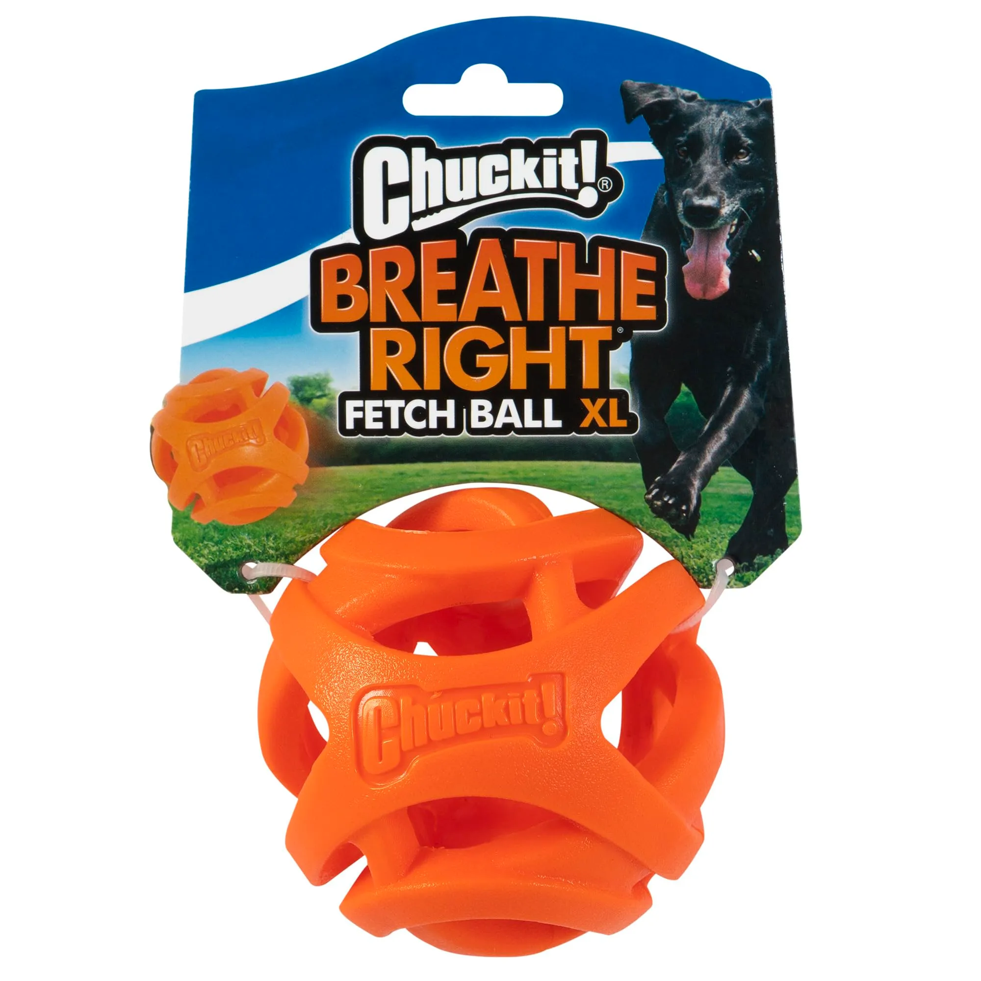 Chuckit Palla Breathe Right Fetch Ball Xlarge, Palla da Perseguire per il Cane, XL - immagine 2
