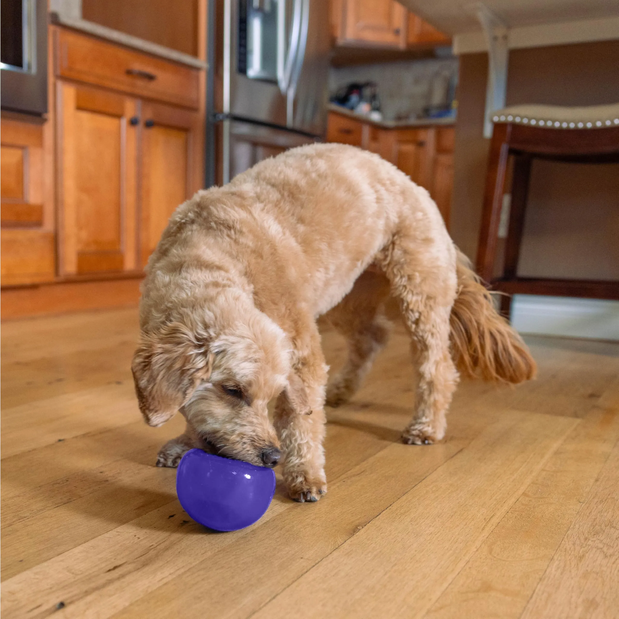 Planet Dog Orbee-Tuff Lil' Snoop - Gioco interattivo per cani - erogatore di ricompensa - viola - piccolo - immagine 2