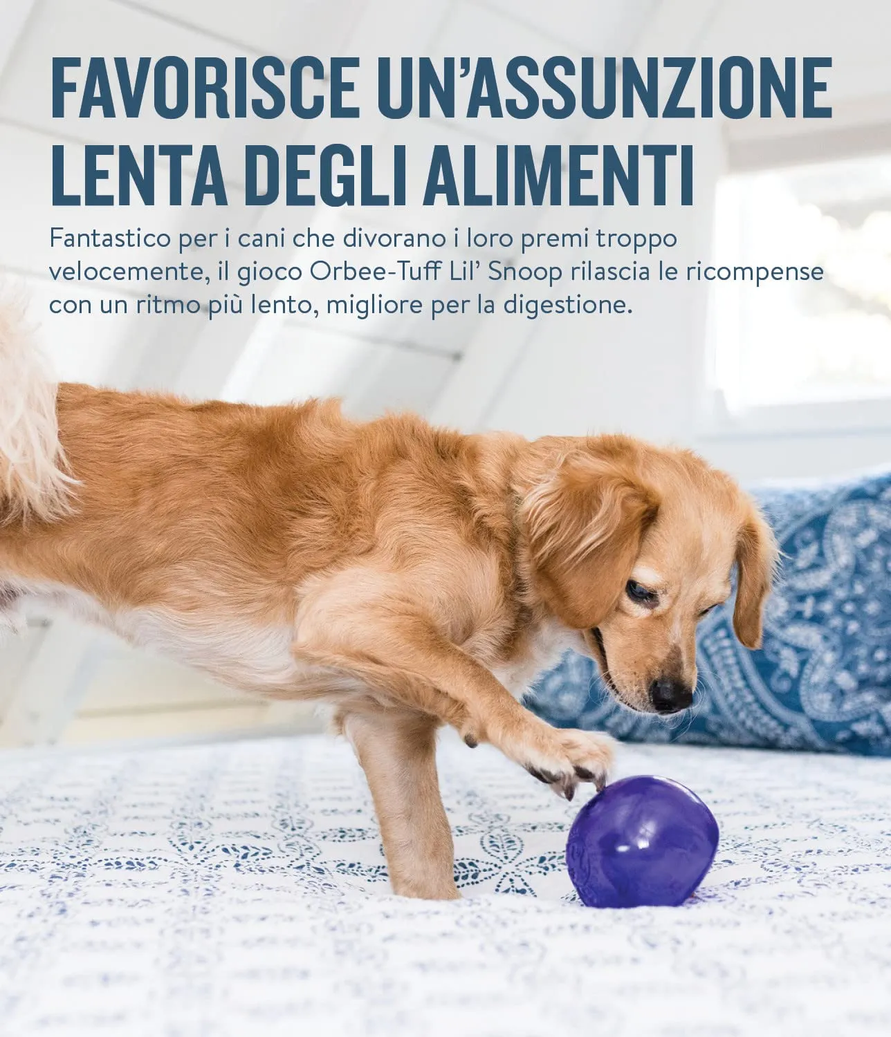 Planet Dog Orbee-Tuff Lil' Snoop - Gioco interattivo per cani - erogatore di ricompensa - viola - piccolo - immagine 6