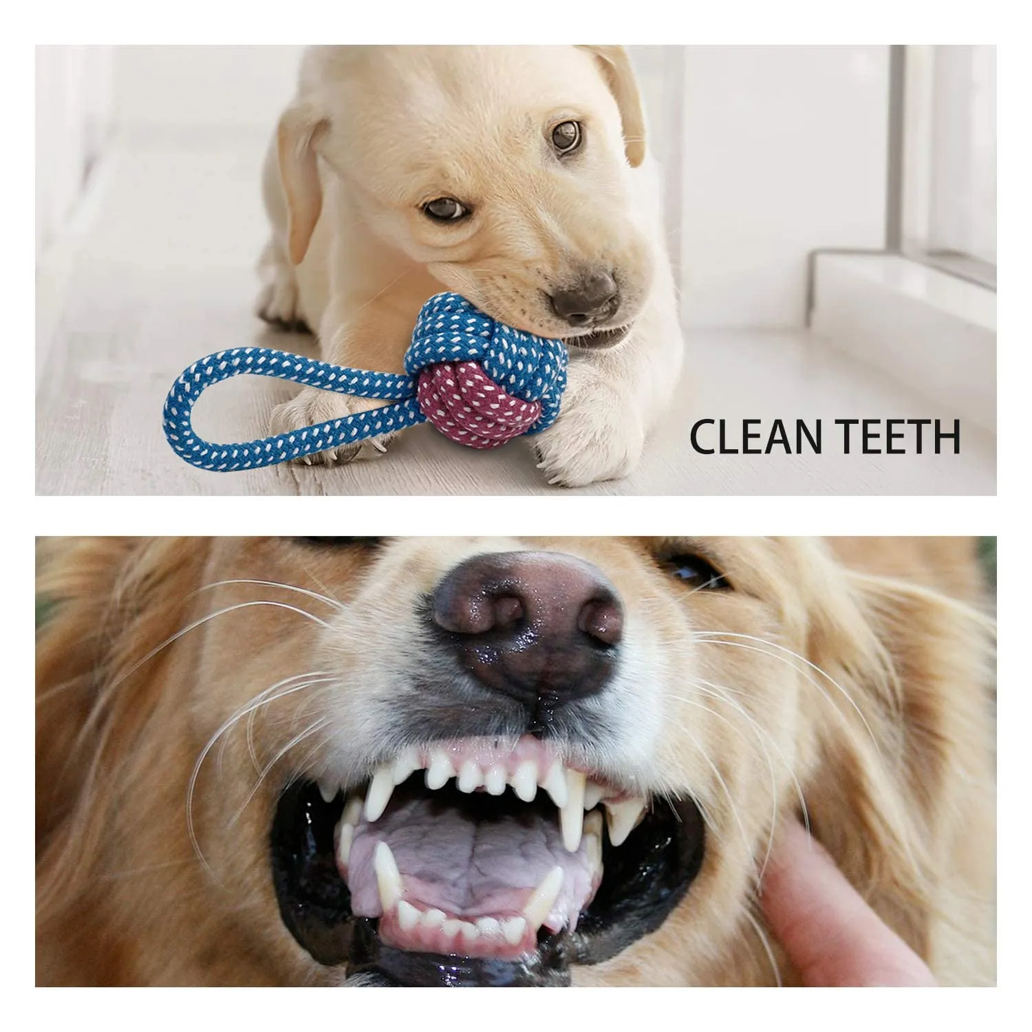 Toozey Giochi per Cani, Set di 7 Giocattoli per Cuccioli, Giocattoli Intelligenti da Masticare e Corda per Cani Durevole e Squillante, Cotone Naturale, Allevia Lo Stress e la Noia - immagine 5
