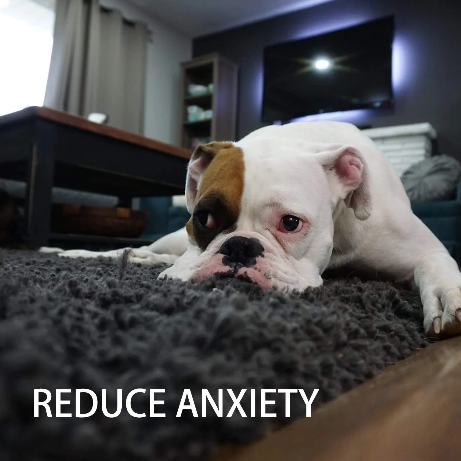 Toozey Giochi per Cani, Set di 7 Giocattoli per Cuccioli, Giocattoli Intelligenti da Masticare e Corda per Cani Durevole e Squillante, Cotone Naturale, Allevia Lo Stress e la Noia - immagine 7