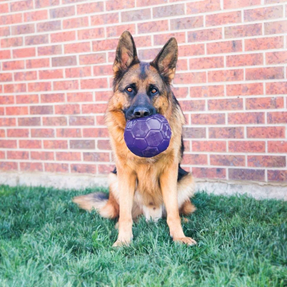 Kong Flex Ball per cani di taglia media/grande - immagine 2