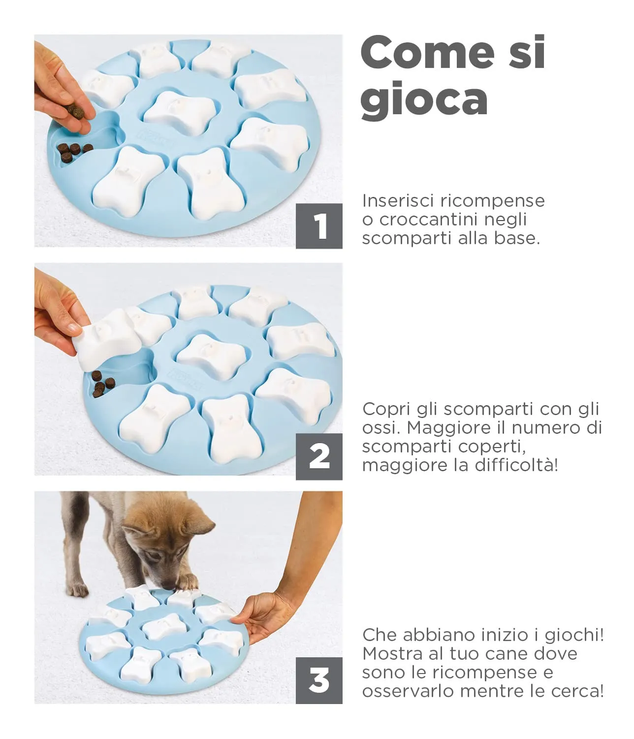 Nina Ottosson di Outward Hound Puppy Smart - Gioco interattivo per cani - rompicapo con ricompense - blu - immagine 5
