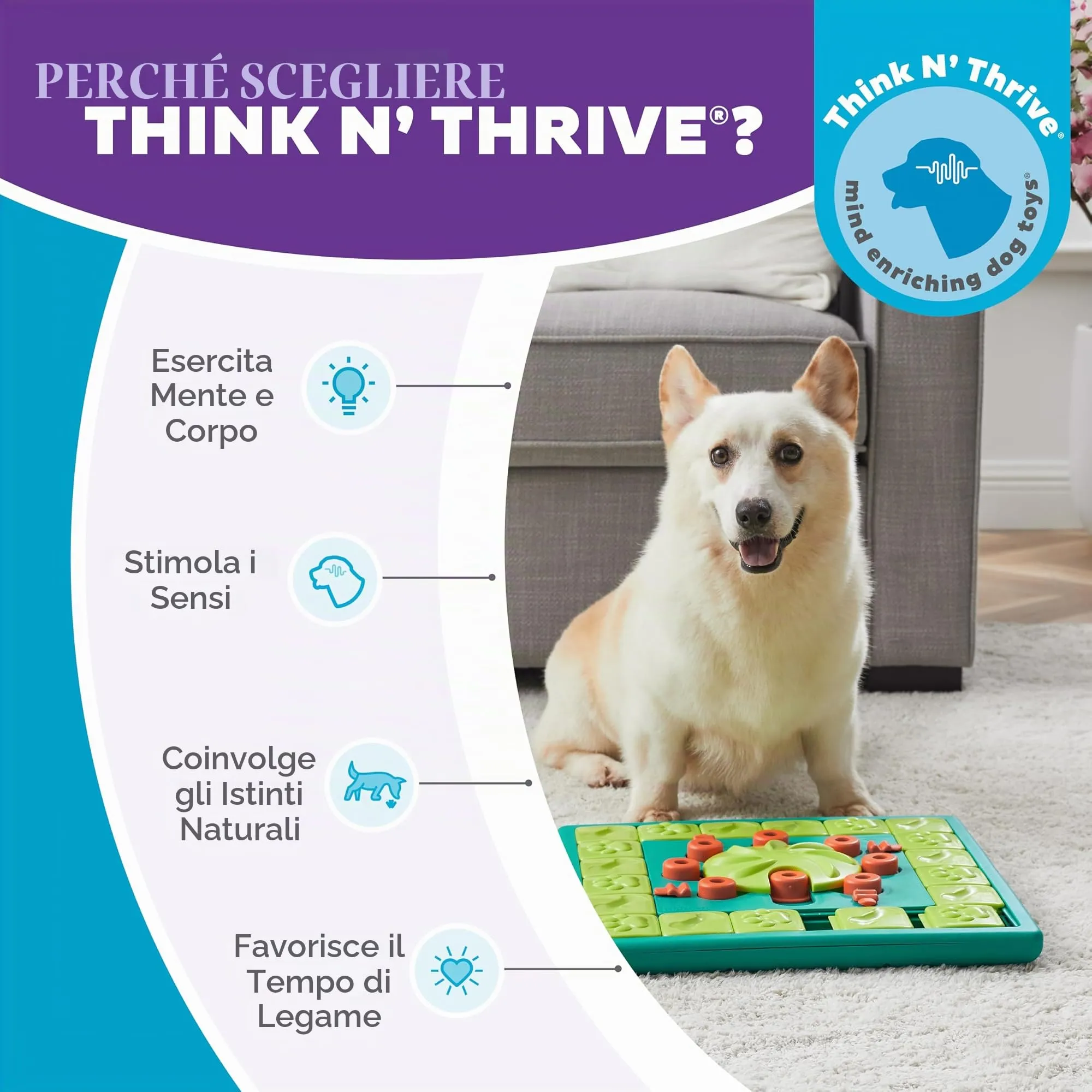 Nina Ottosson di Outward Hound MultiPuzzle - gioco rompicapo interattivo in grado di erogare ricompense - per cani - immagine 7
