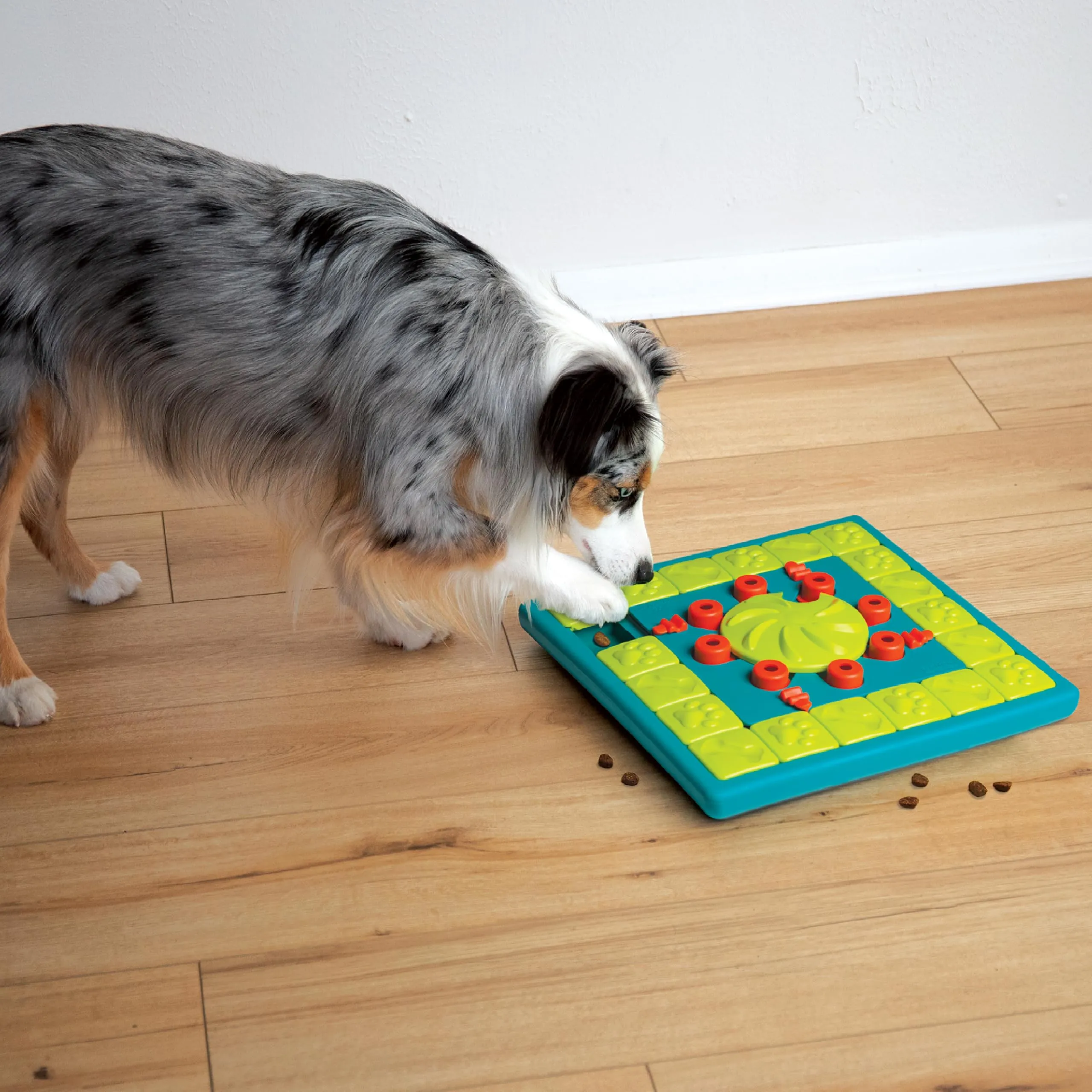 Nina Ottosson di Outward Hound MultiPuzzle - gioco rompicapo interattivo in grado di erogare ricompense - per cani - immagine 9