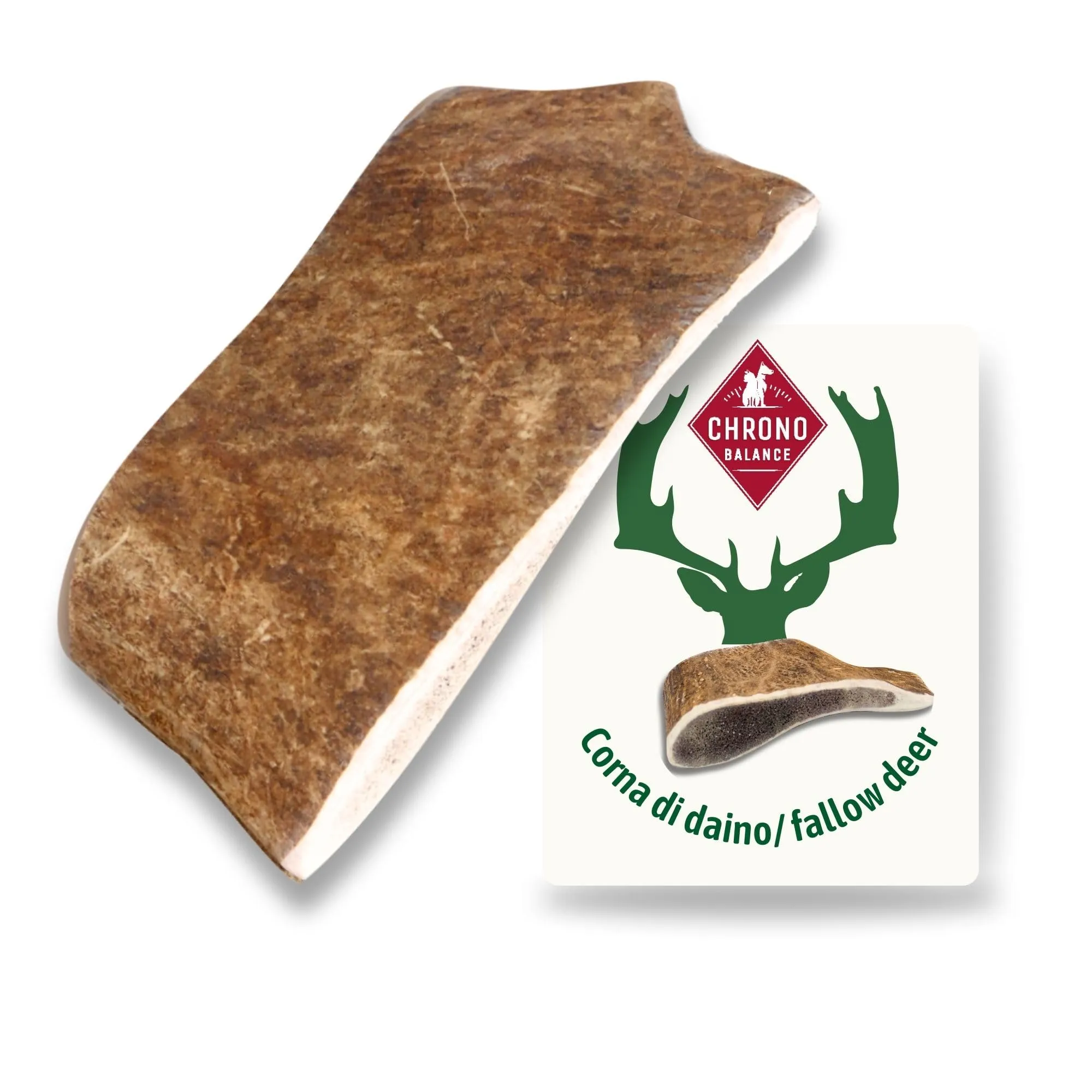 ChronoBalance-L Corno di Cervo Daino per Cani, Confezione da 1, 100% Naturale, Osso di Cervo, Cura Dentale, Giocattolo per Cani, Ricco di Minerali e Nutrienti, Lunga Durata - immagine 1