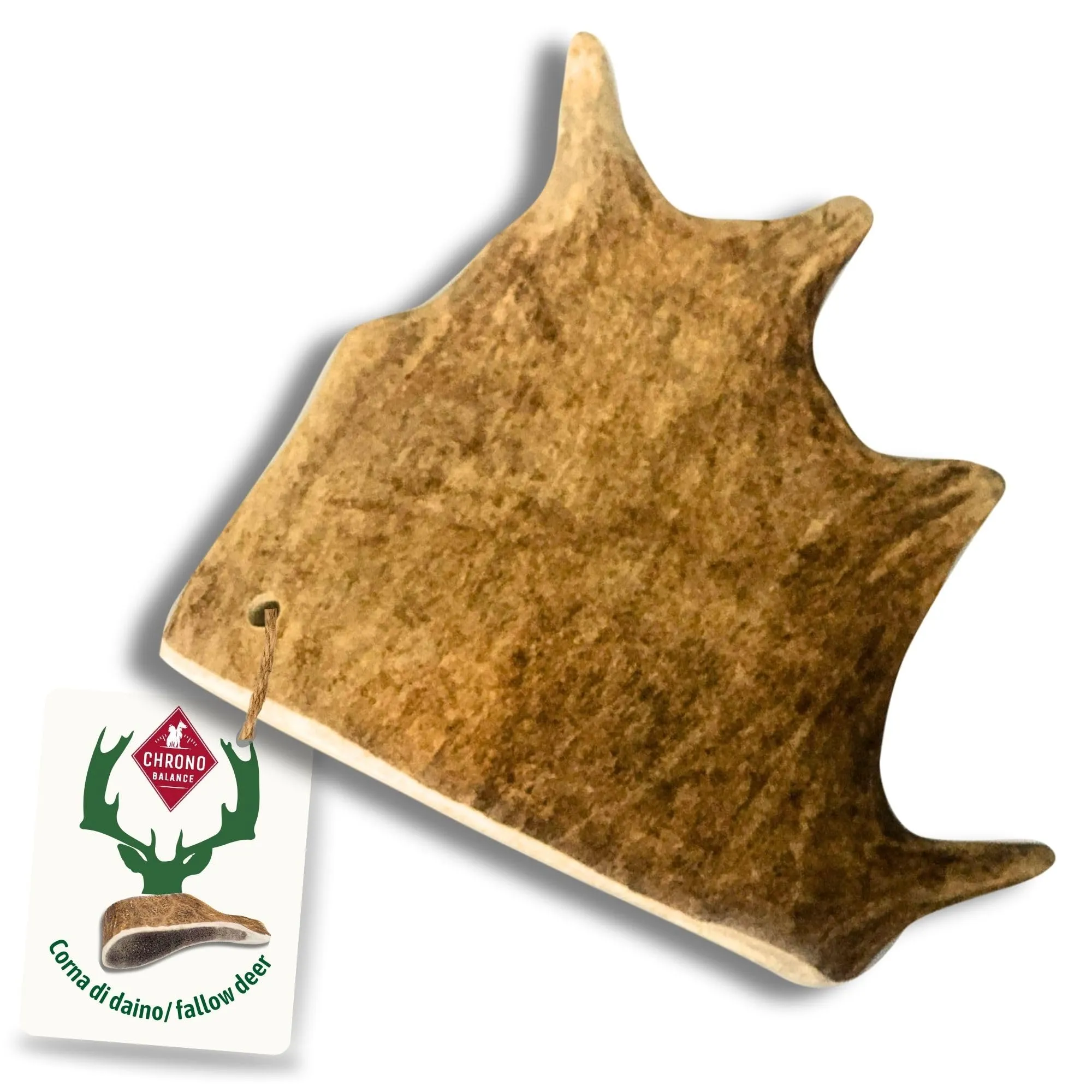 ChronoBalance-XL Corno di Cervo Daino per Cani, Confezione da 1, 100% Naturale, Osso di Cervo, Cura Dentale, Giocattolo per Cani, Ricco di Minerali e Nutrienti, Lunga Durata - immagine 1
