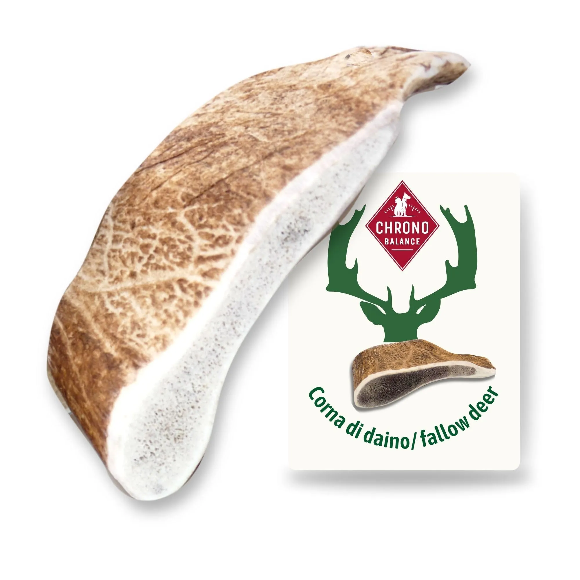 ChronoBalance-M Corno di Cervo Daino per Cani, Confezione da 1, 100% Naturale, Osso di Cervo, Cura Dentale, Giocattolo per Cani, Ricco di Minerali e Nutrienti, Lunga Durata - immagine 1
