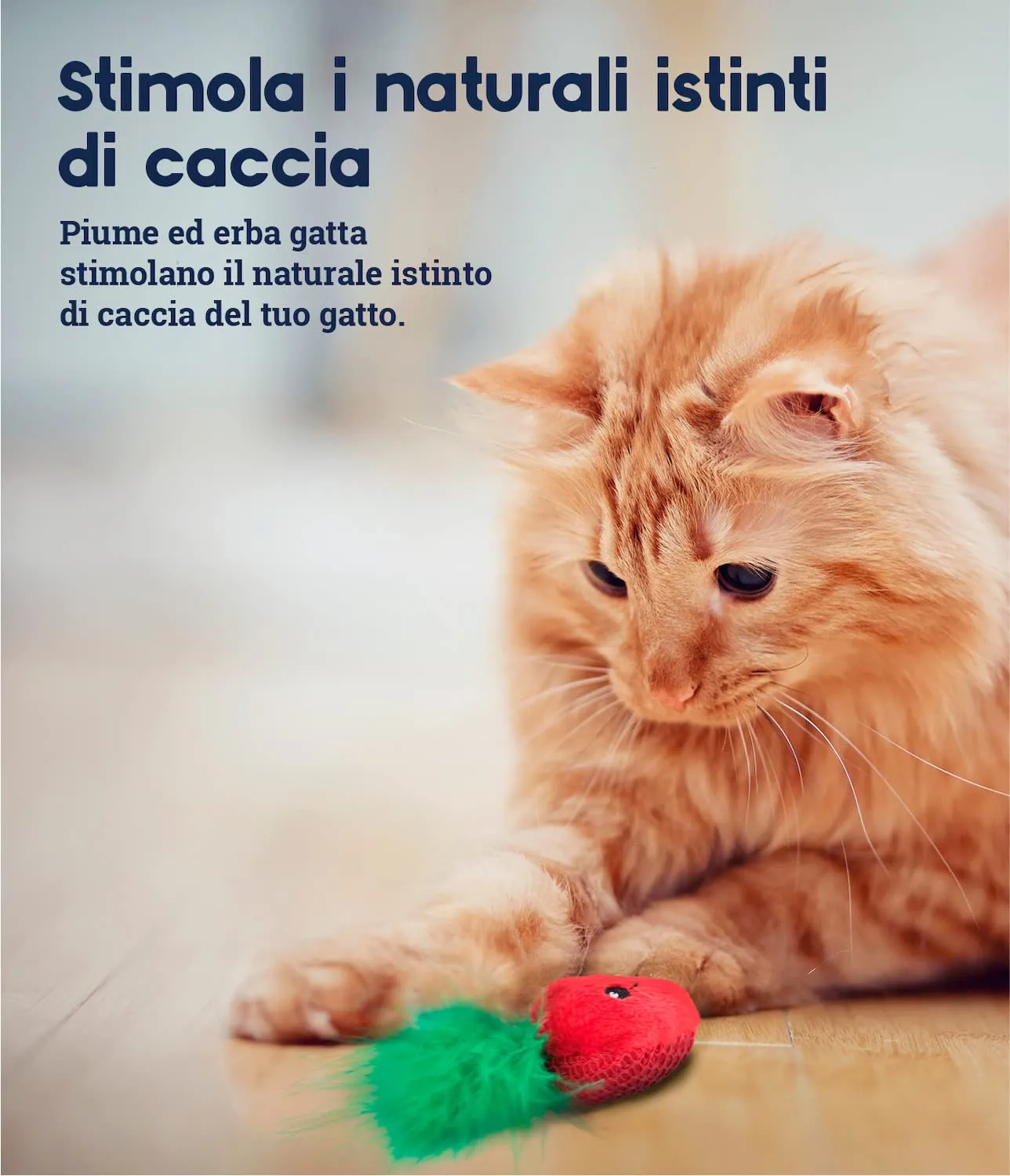 Petstages Straw-Babies - Gioco a rete per gatti - per l'igiene dentale - con erba gatta - rosa - 3 pezzi - immagine 5
