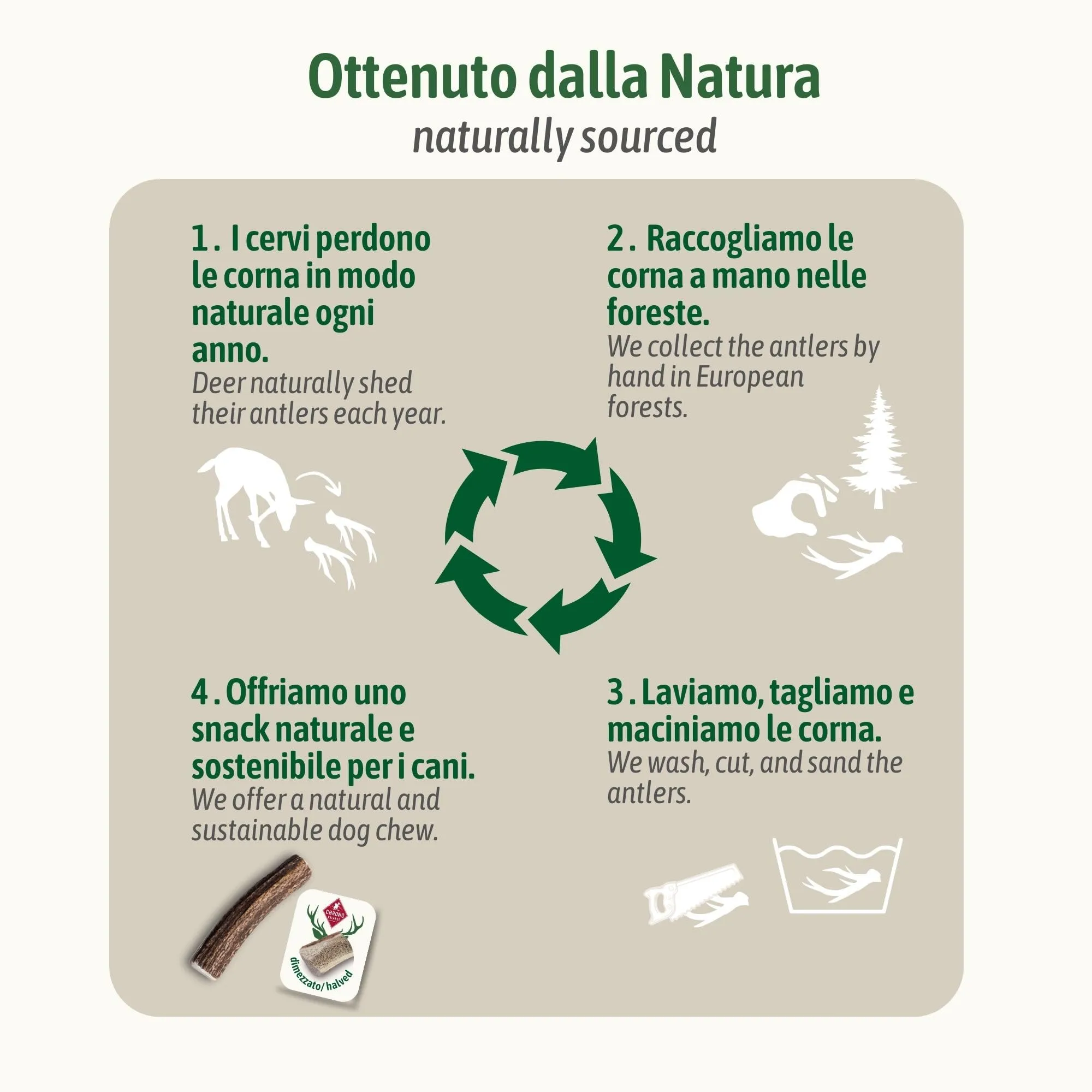 ChronoBalance-L Corno di Cervo per Cani, Confezione da 2, Dimezzato, 100% Naturale, Osso di Cervo, Cura Dentale, Giocattolo per Cani, Senza Sostanze Chimiche, Lunga Durata - immagine 8