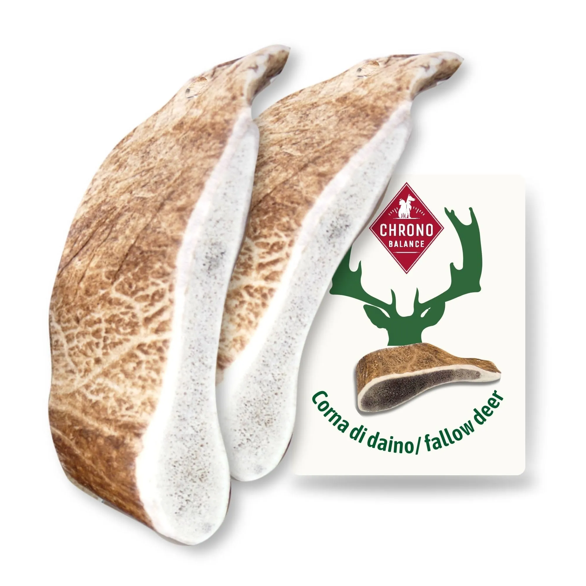 ChronoBalance-M Corno di Cervo Daino per Cani, Confezione da 2, 100% Naturale, Osso di Cervo, Cura Dentale, Giocattolo per Cani, Ricco di Minerali e Nutrienti, Lunga Durata - immagine 1